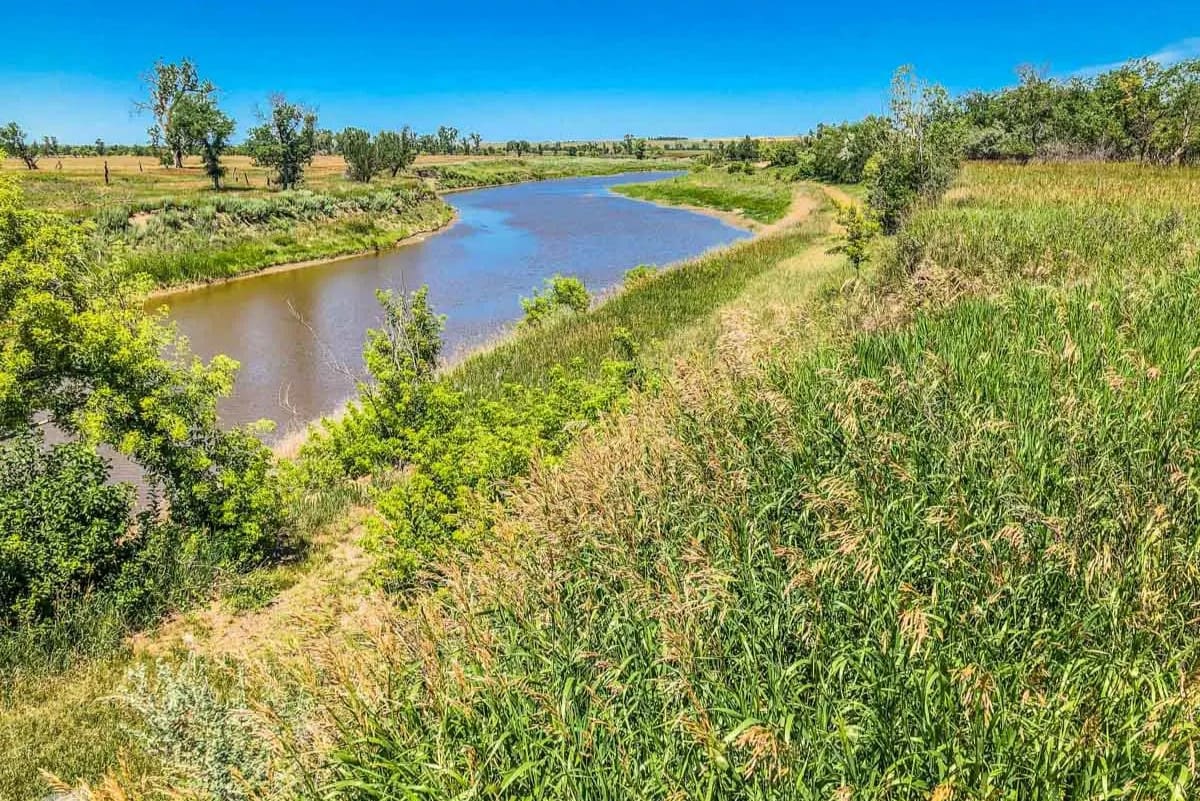 experience-the-thrill-of-knife-river-ranchs-cattle-operation