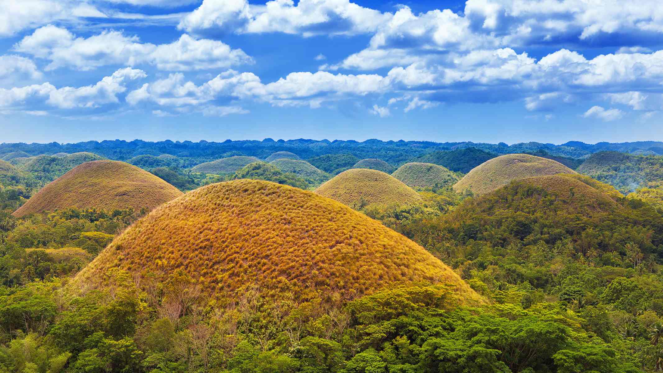 Hidden-Culinary-Gems-In-Bohol-You-Need-To-Try hidden-culinary-gems-in-bohol-you-need-to-try
