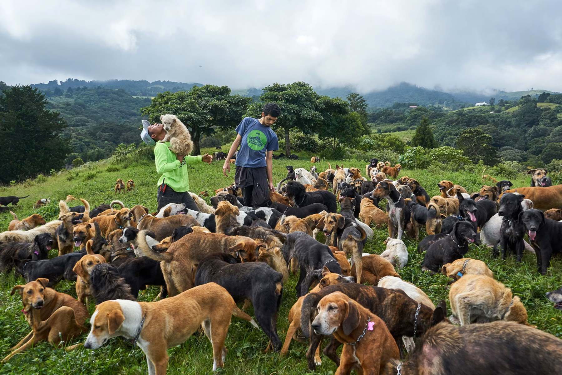 Hidden-Gems-Costa-Rica8217s-Top-Animal-Rescue-Centers-And-Sanctuaries hidden-gems-costa-ricas-top-animal-rescue-centers-and-sanctuaries