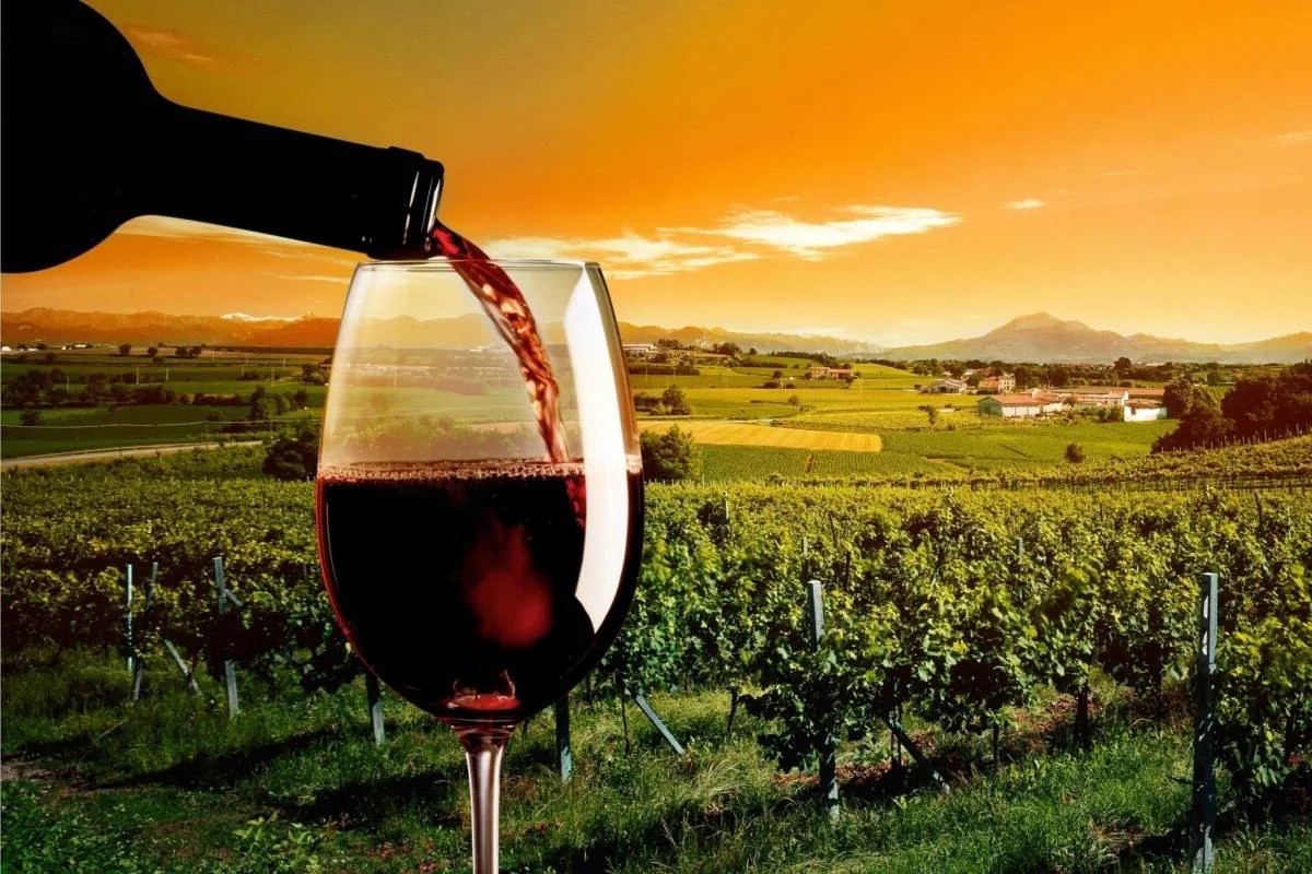 Hidden-Gems-German-Wines-You-Must-Taste-Before-You-Die hidden-gems-german-wines-you-must-taste-before-you-die