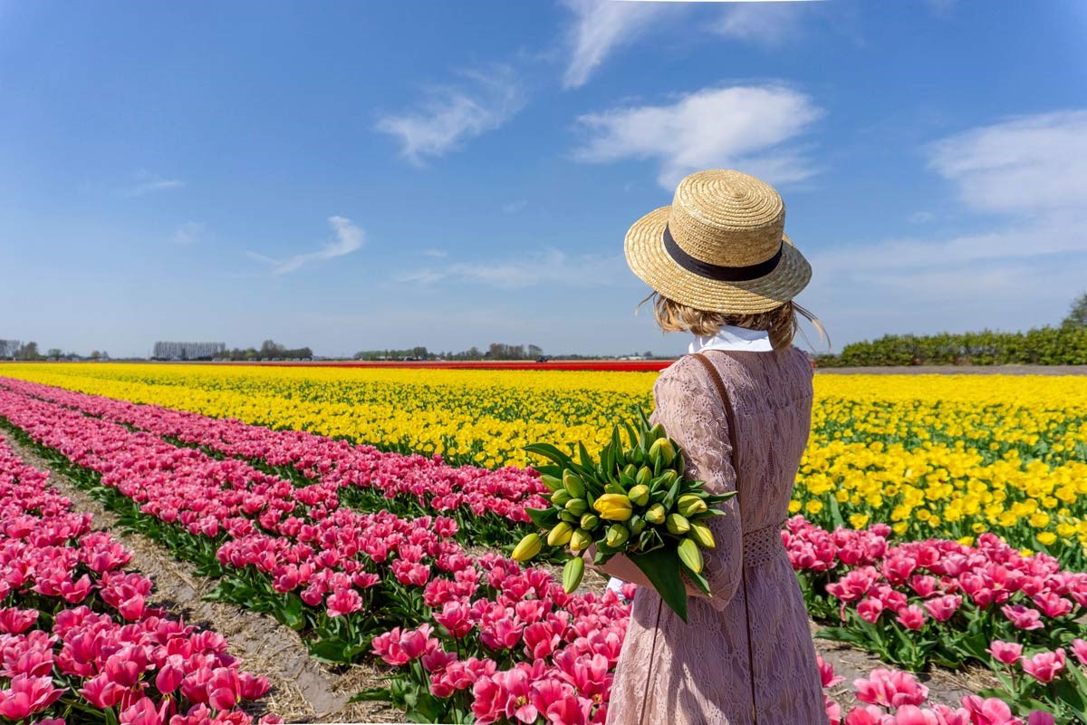 Hidden-Gems-Must-See-Tulip-Fields-In-The-Netherlands hidden-gems-must-see-tulip-fields-in-the-netherlands