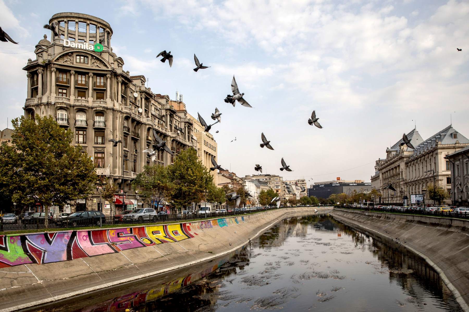 Hidden-Gems-Must-Visit-Cafés-In-Bucharest hidden-gems-must-visit-cafes-in-bucharest