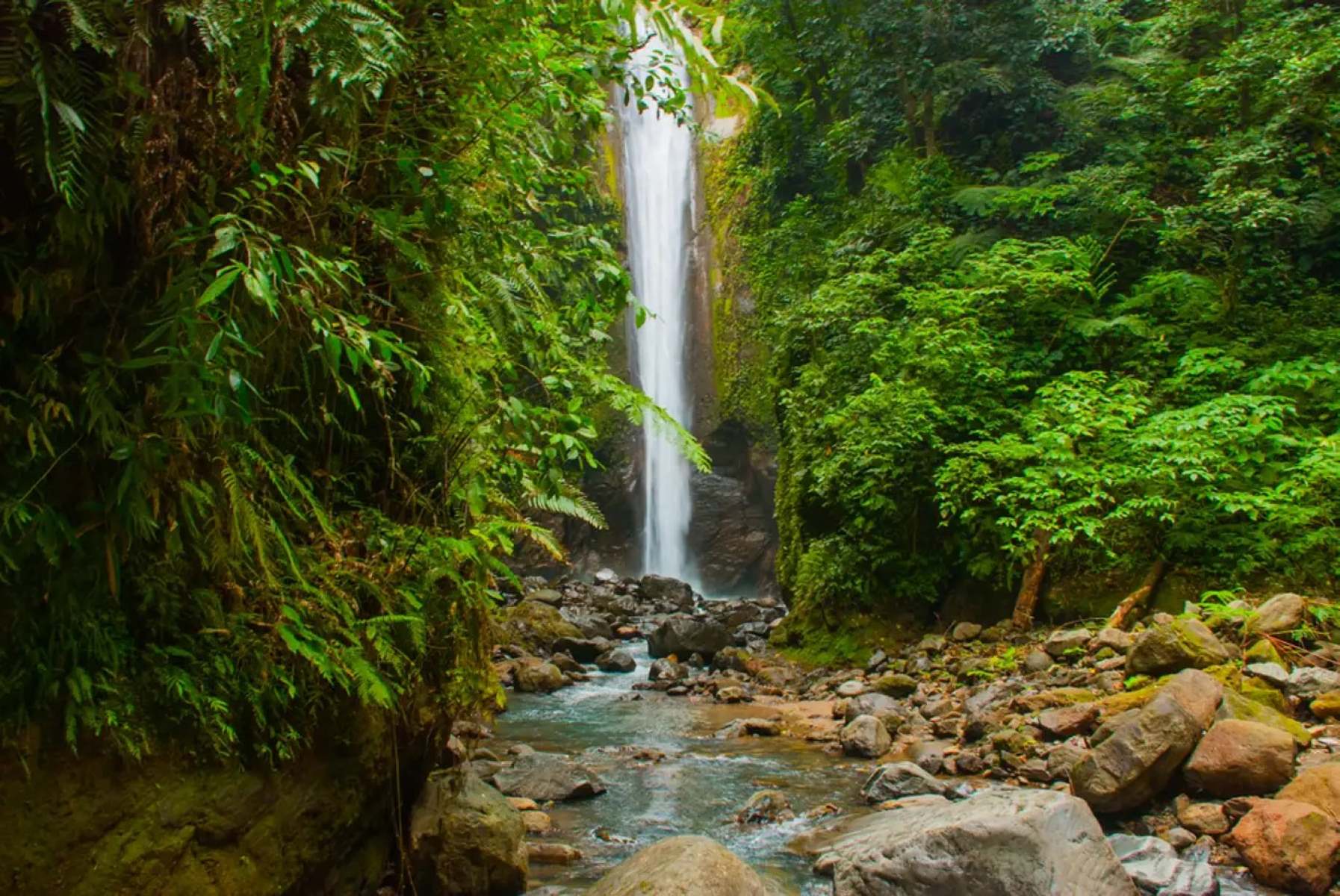 Hidden-Gems-Of-Ecotourism-In-The-Philippines-You-Need-To-Explore hidden-gems-of-ecotourism-in-the-philippines-you-need-to-explore