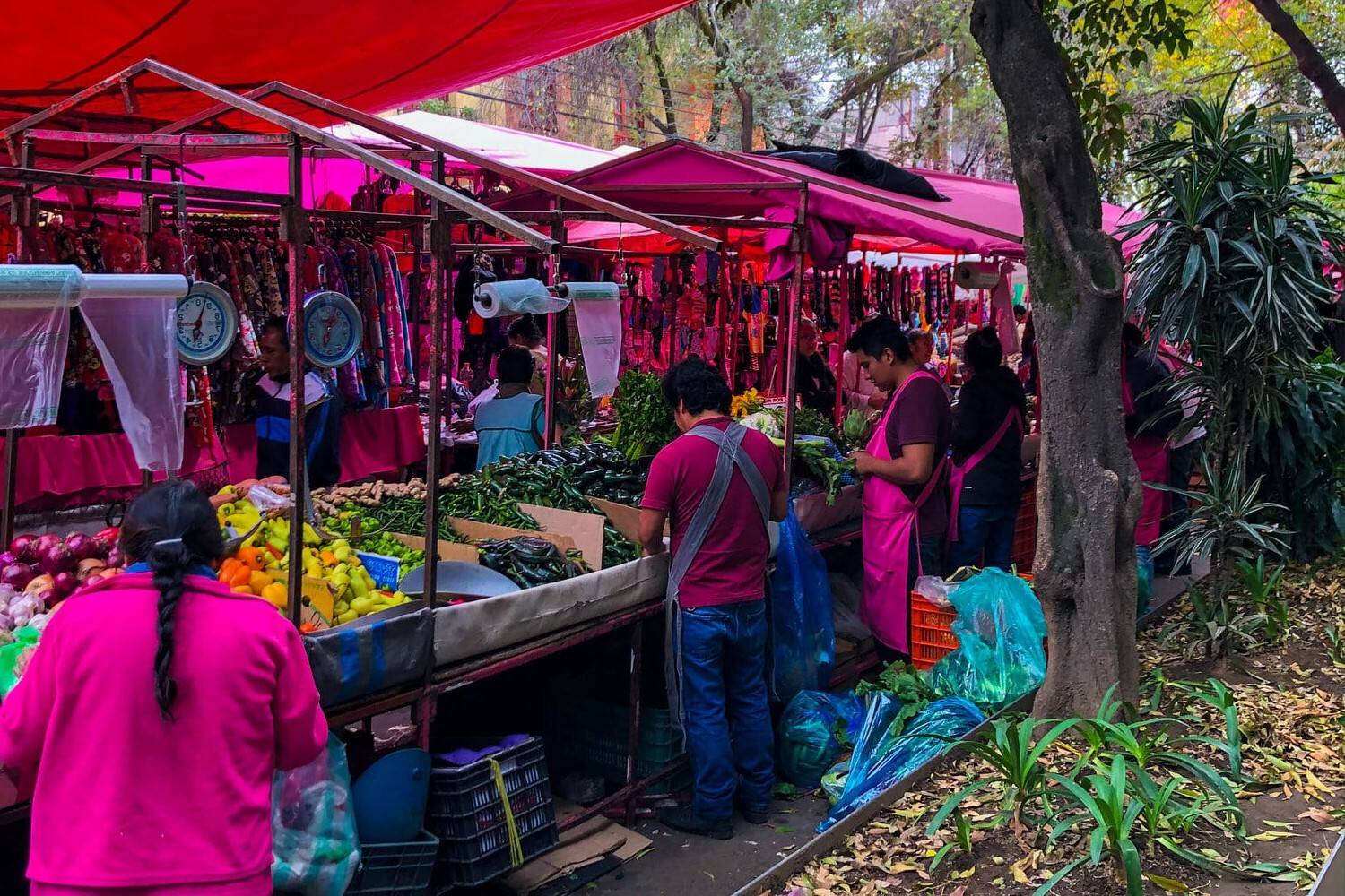 hidden-gems-the-best-tianguis-in-mexico-city-you-need-to-visit