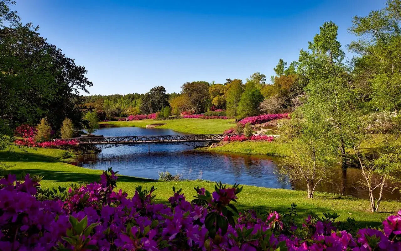 Hidden-Gems-The-Most-Beautiful-Parks-And-Green-Spaces-In-Abuja hidden-gems-the-most-beautiful-parks-and-green-spaces-in-abuja