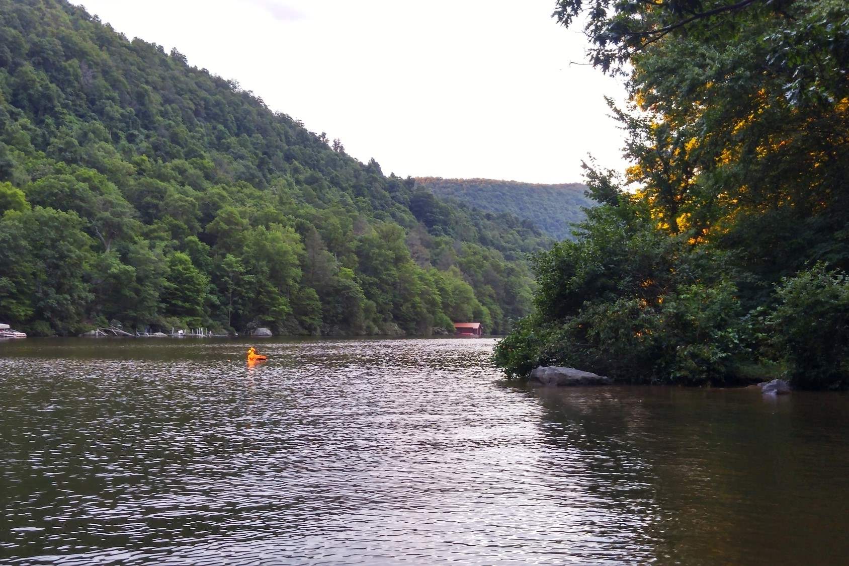 hike-the-enchanting-mont-chateau-trail-at-coopers-rock