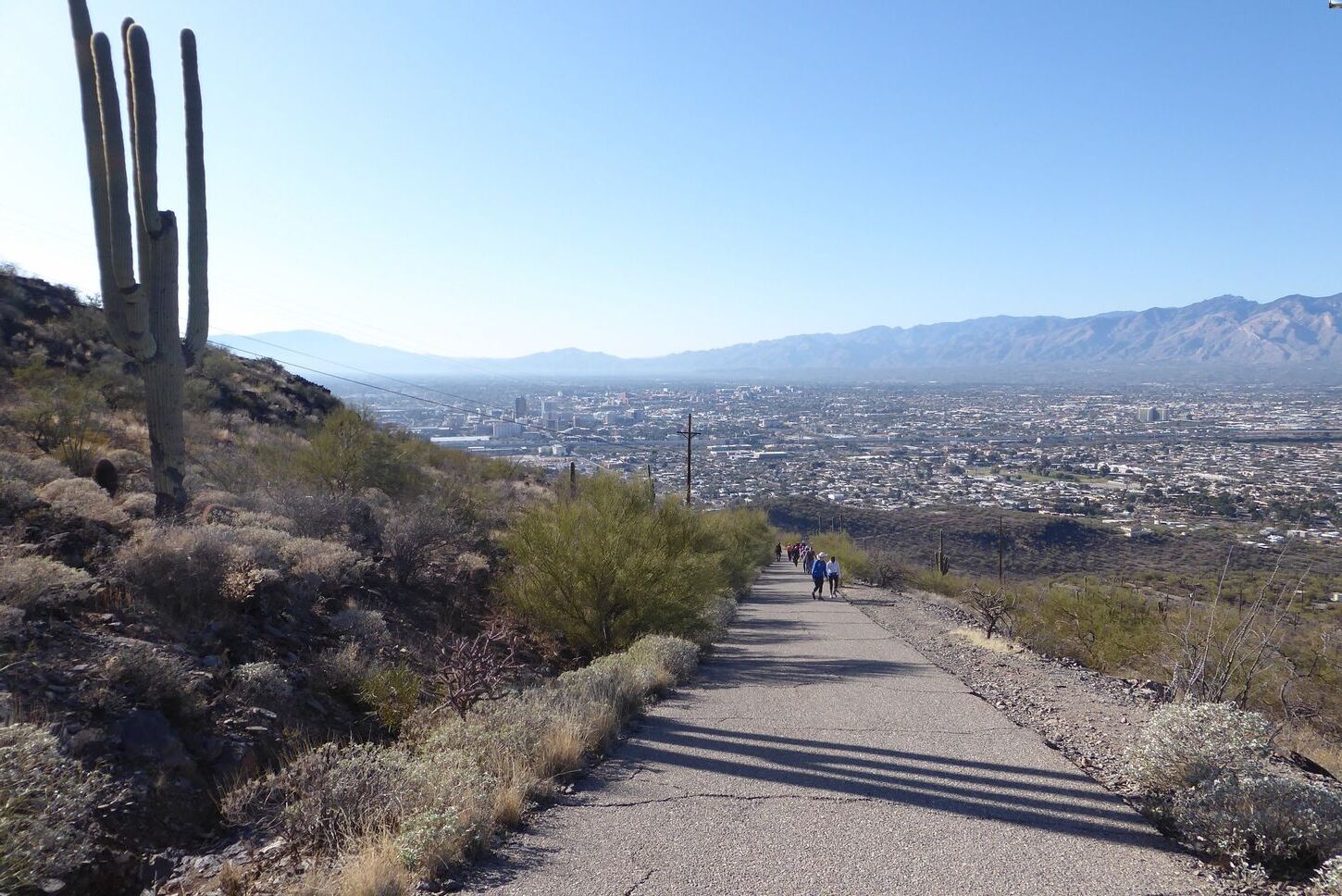 hike-through-tumamoc-hills-ancient-hohokam-ruins