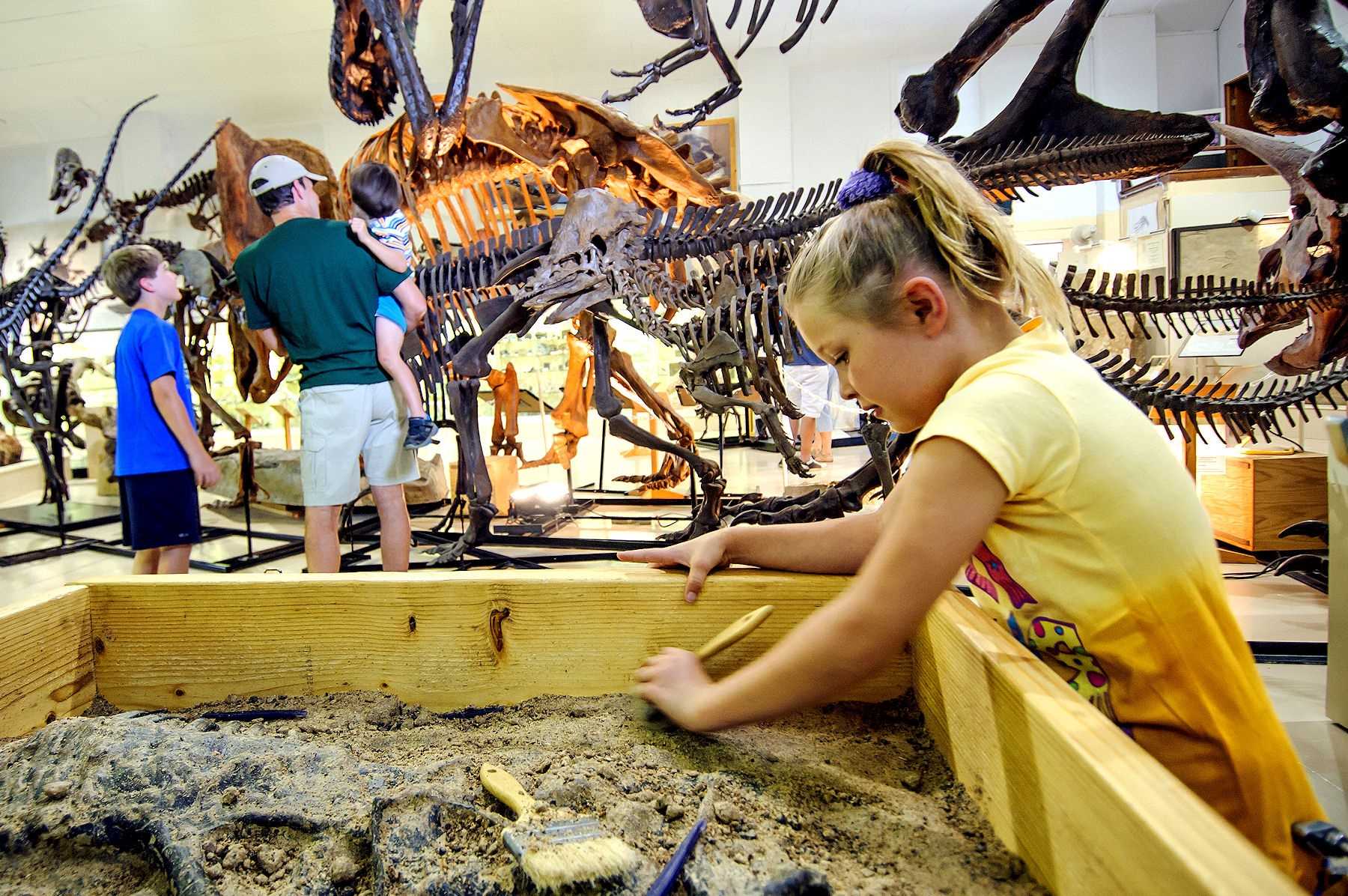 Hill-City8217s-Gem-Black-Hills-Institute-Museum-Adventure hill-citys-gem-black-hills-institute-museum-adventure