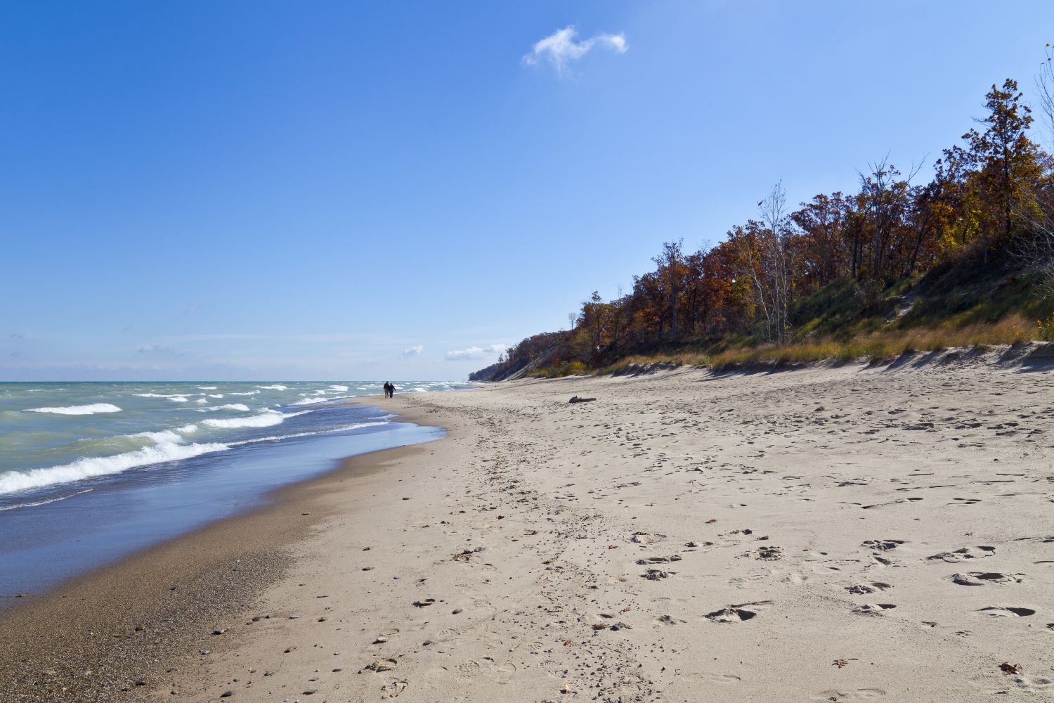 Indiana-Dunes-8211-Lake-Michigan8217s-Sandy-Shores indiana-dunes-lake-michigans-sandy-shores