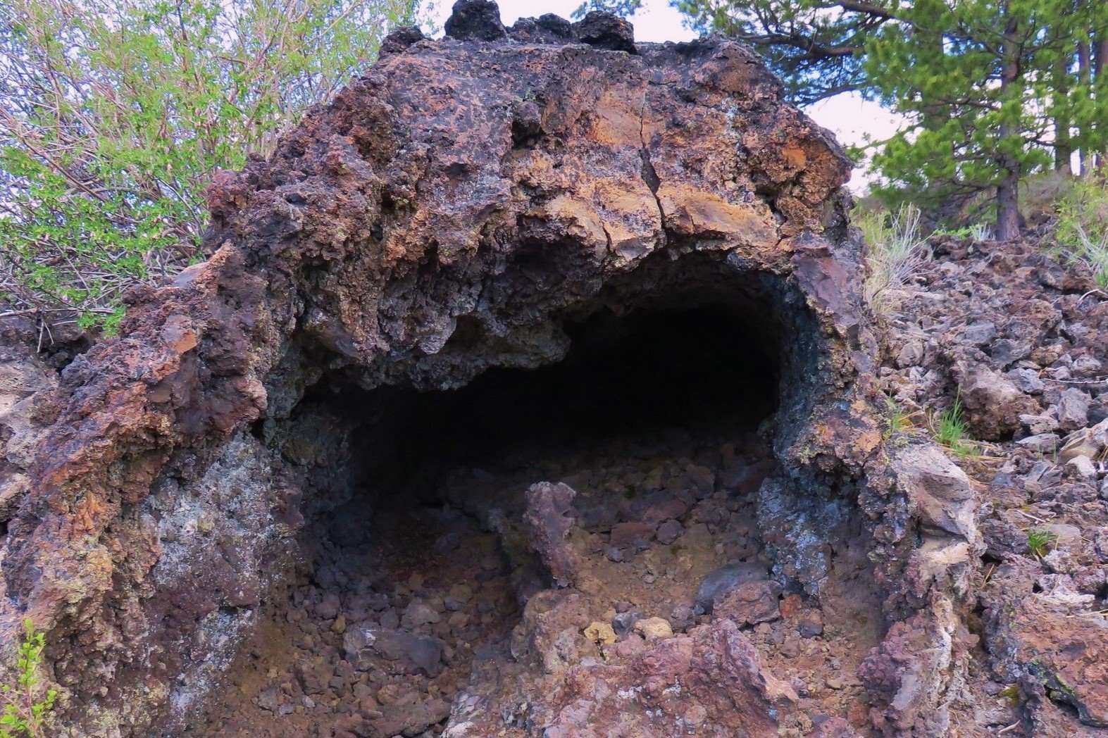 lava-cast-forest-walk-through-ancient-volcanic-wonders