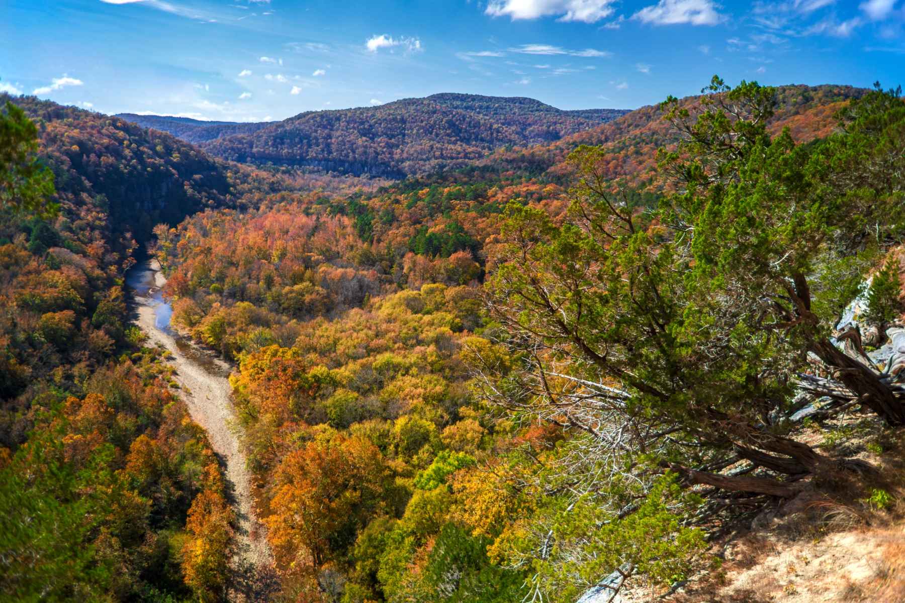 Mark-Twain-National-Forest8217s-Breathtaking-Vistas mark-twain-national-forests-breathtaking-vistas