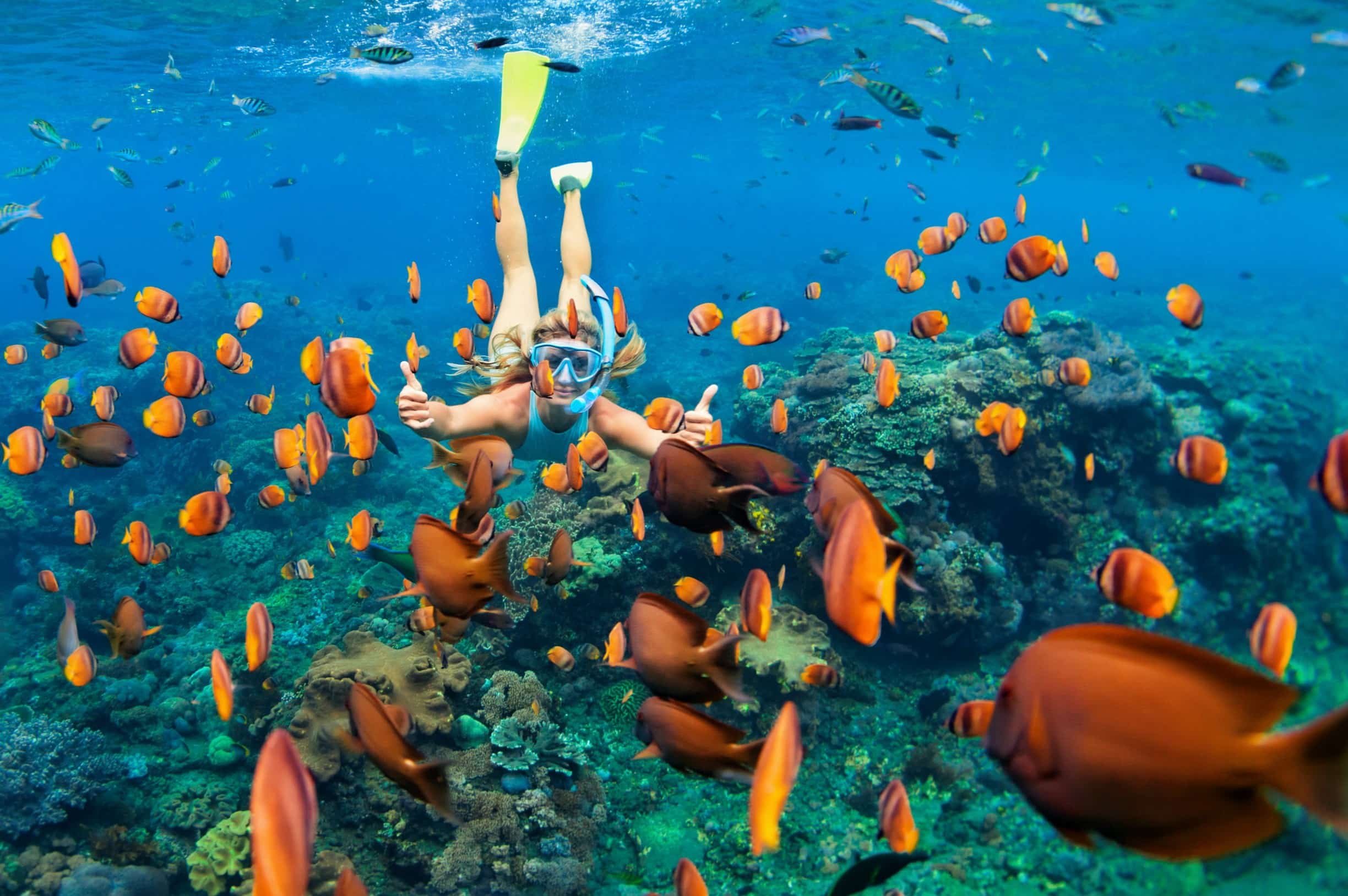 Molokini-Crater-Snorkeling-8211-Maui8217s-Underwater-Caldera molokini-crater-snorkeling-mauis-underwater-caldera
