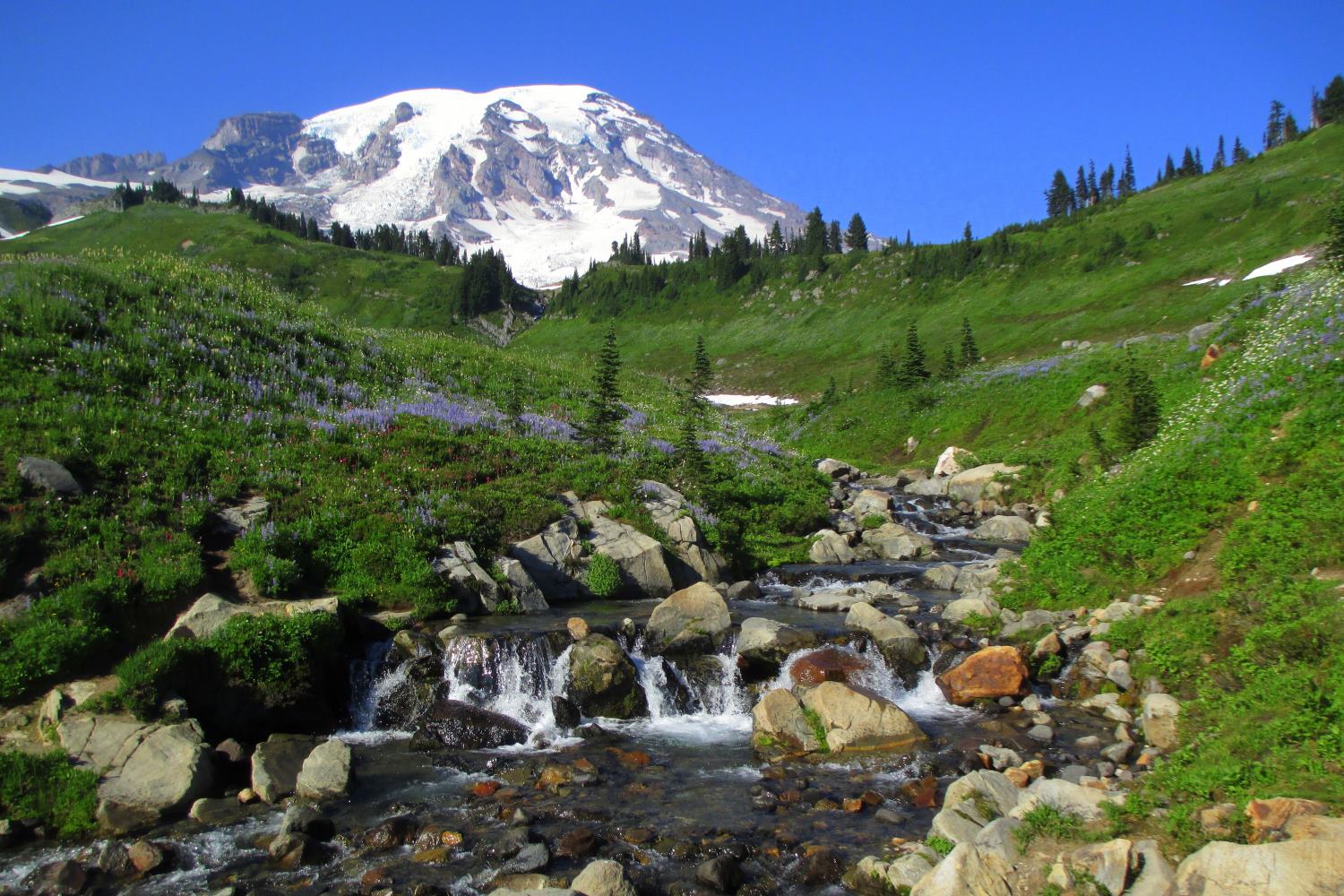 mount-rainier-national-park-washingtons-iconic-peak