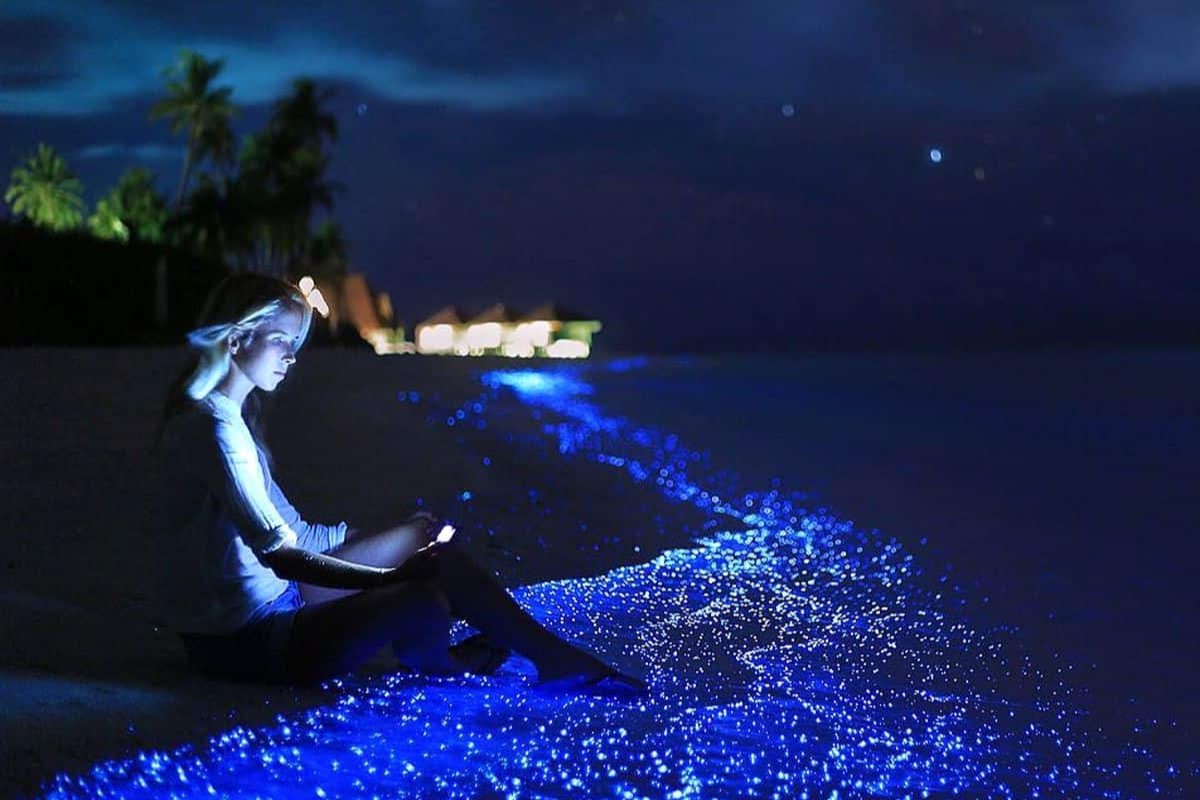 Mystery-Of-The-Breathtaking-Sea-Of-Stars-In-The-Maldives mystery-of-the-breathtaking-sea-of-stars-in-the-maldives