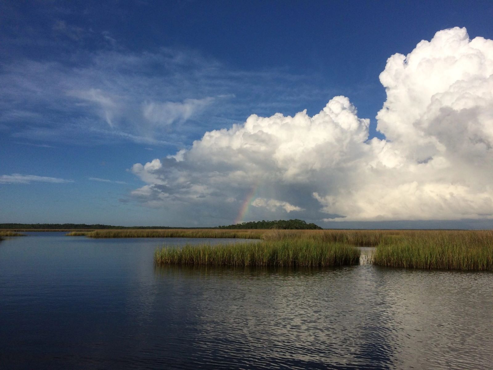 pascagoulas-hidden-gem-grand-bays-natural-wonders