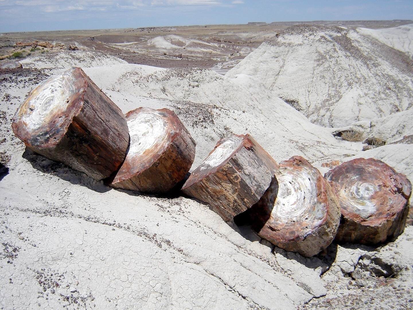 Petrified-Forest-National-Park-8211-Arizona8217s-Fossilized-Wonder petrified-forest-national-park-arizonas-fossilized-wonder