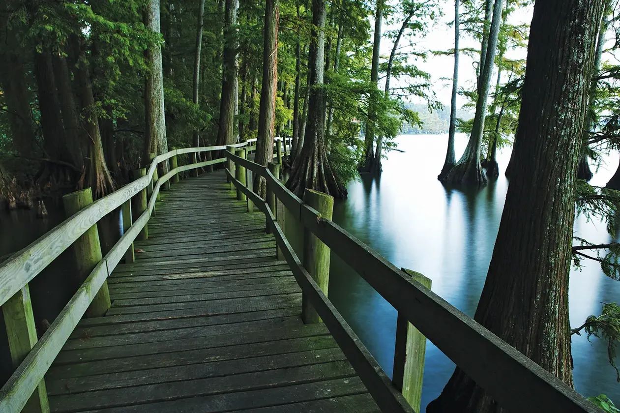 reelfoot-lake-tennessees-earthquake-lake