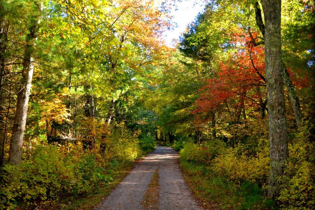 richmond-wilderness-adventure-awaits-in-carolina-management-area