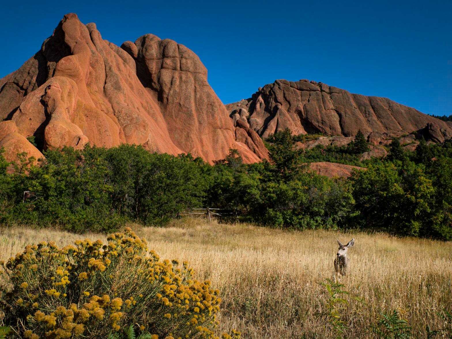 roxboroughs-majestic-red-rock-wonders
