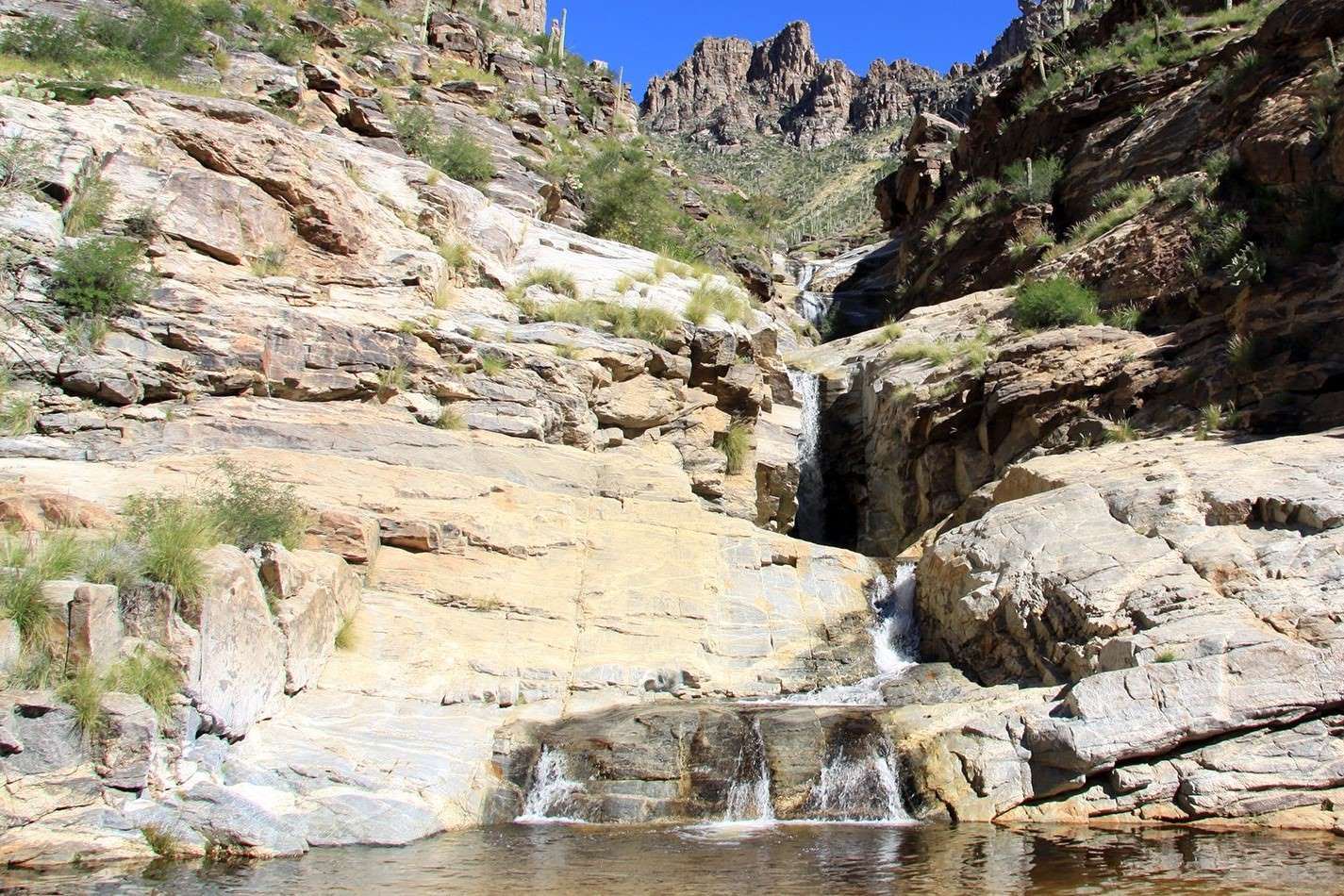 Sabino-Canyon8217s-Thrilling-Desert-Tram-Ride sabino-canyons-thrilling-desert-tram-ride