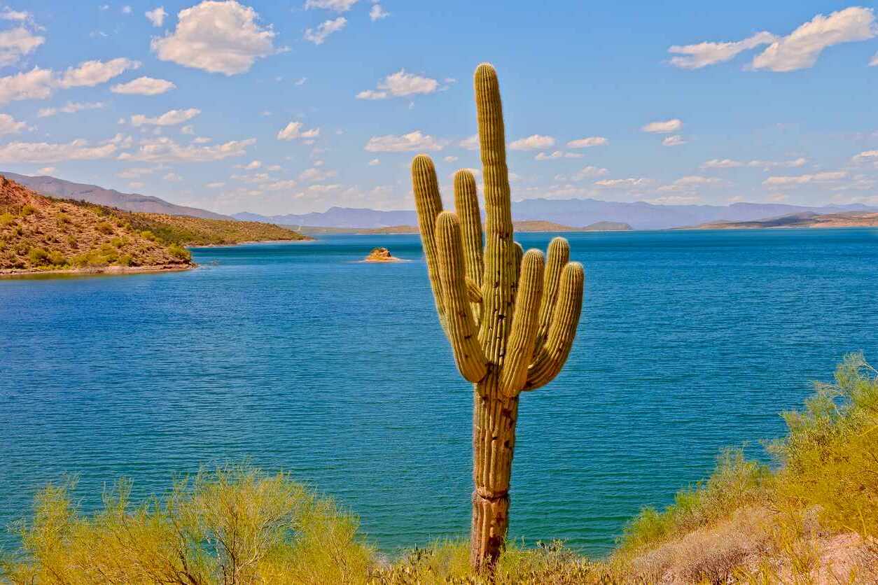 saguaro-lakes-desert-oasis-adventure-awaits