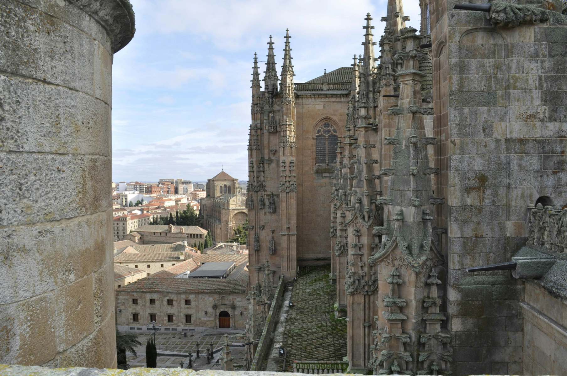 Secrets-Of-Frog-Spotting-In-Salamanca-Revealed secrets-of-frog-spotting-in-salamanca-revealed