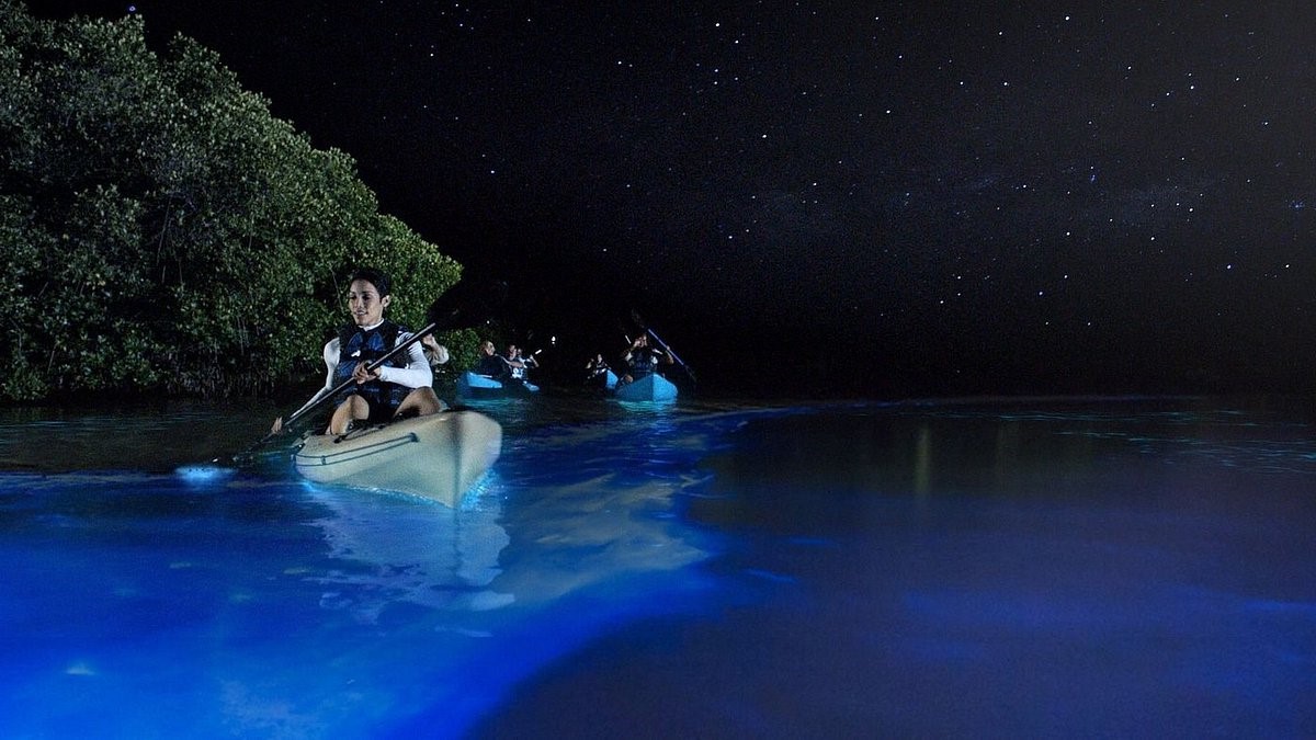 Secrets-Of-Puerto-Rico8217s-Enchanting-Glow-in-the-Dark-Beaches secrets-of-puerto-ricos-enchanting-glow-in-the-dark-beaches