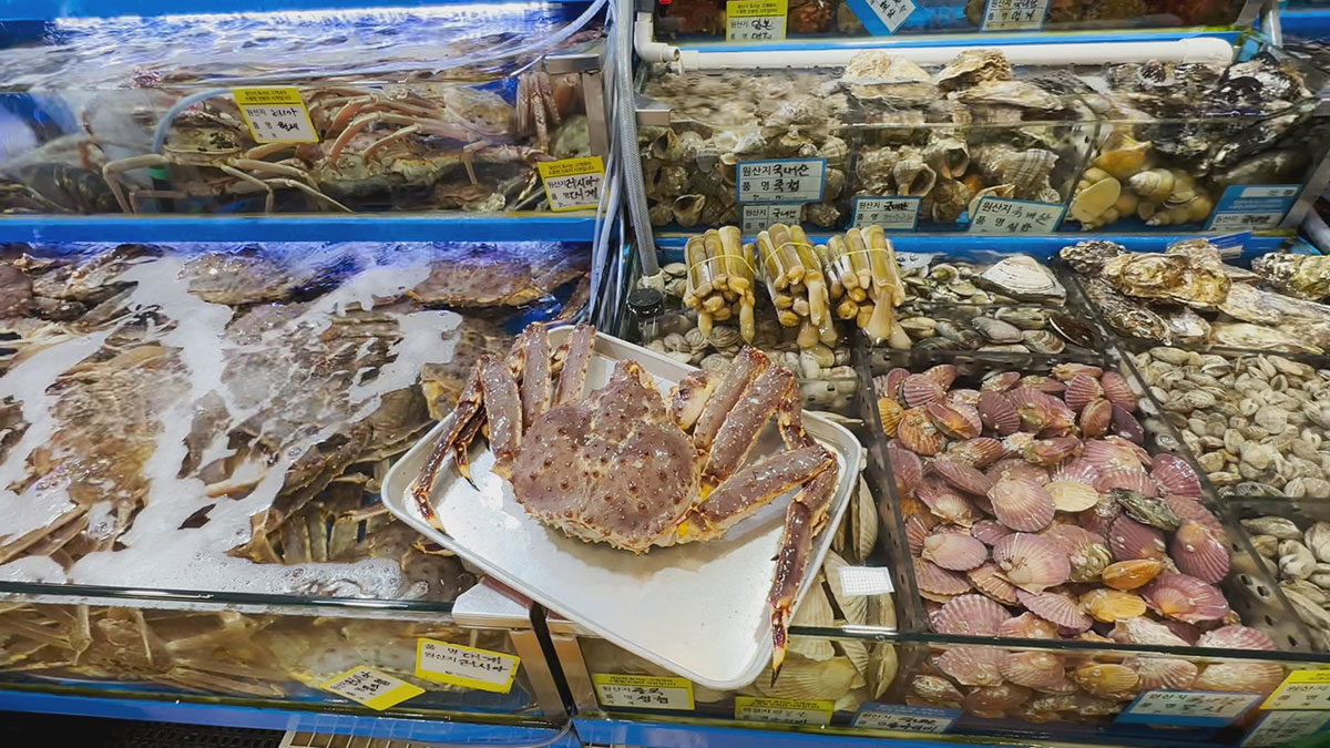 Secrets-Of-Seoul8217s-Noryangjin-Fish-Market-You-Never-Knew secrets-of-seouls-noryangjin-fish-market-you-never-knew