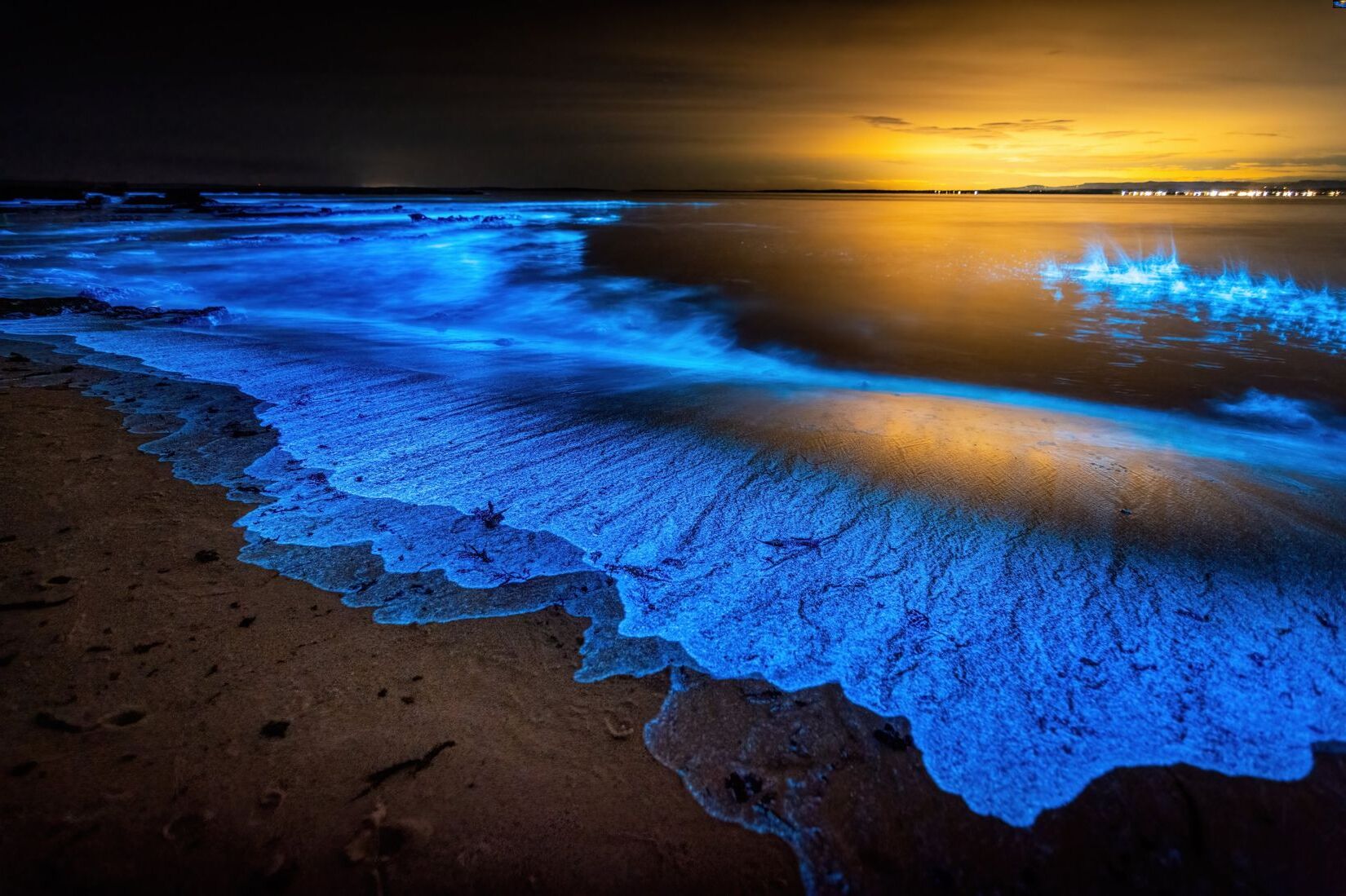 Spectacular-Bioluminescent-Beaches-That-Glow-At-Night spectacular-bioluminescent-beaches-that-glow-at-night