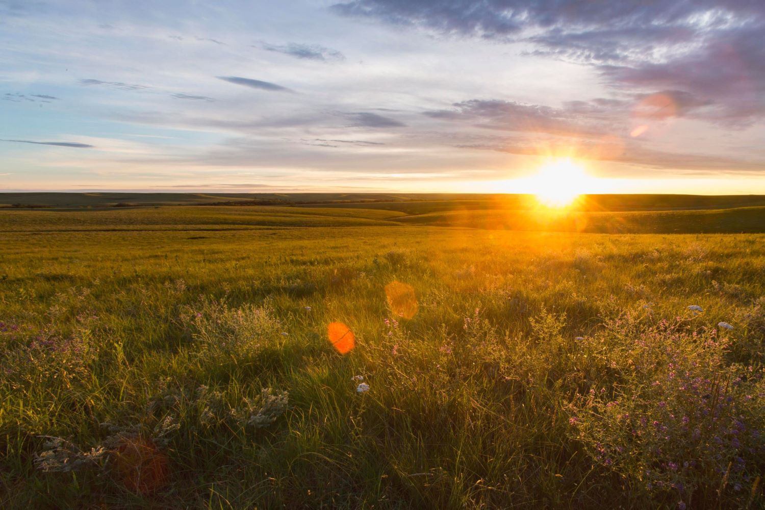 tallgrass-prairie-national-preserve-kansas-last-stand-of-tallgrass-prairie