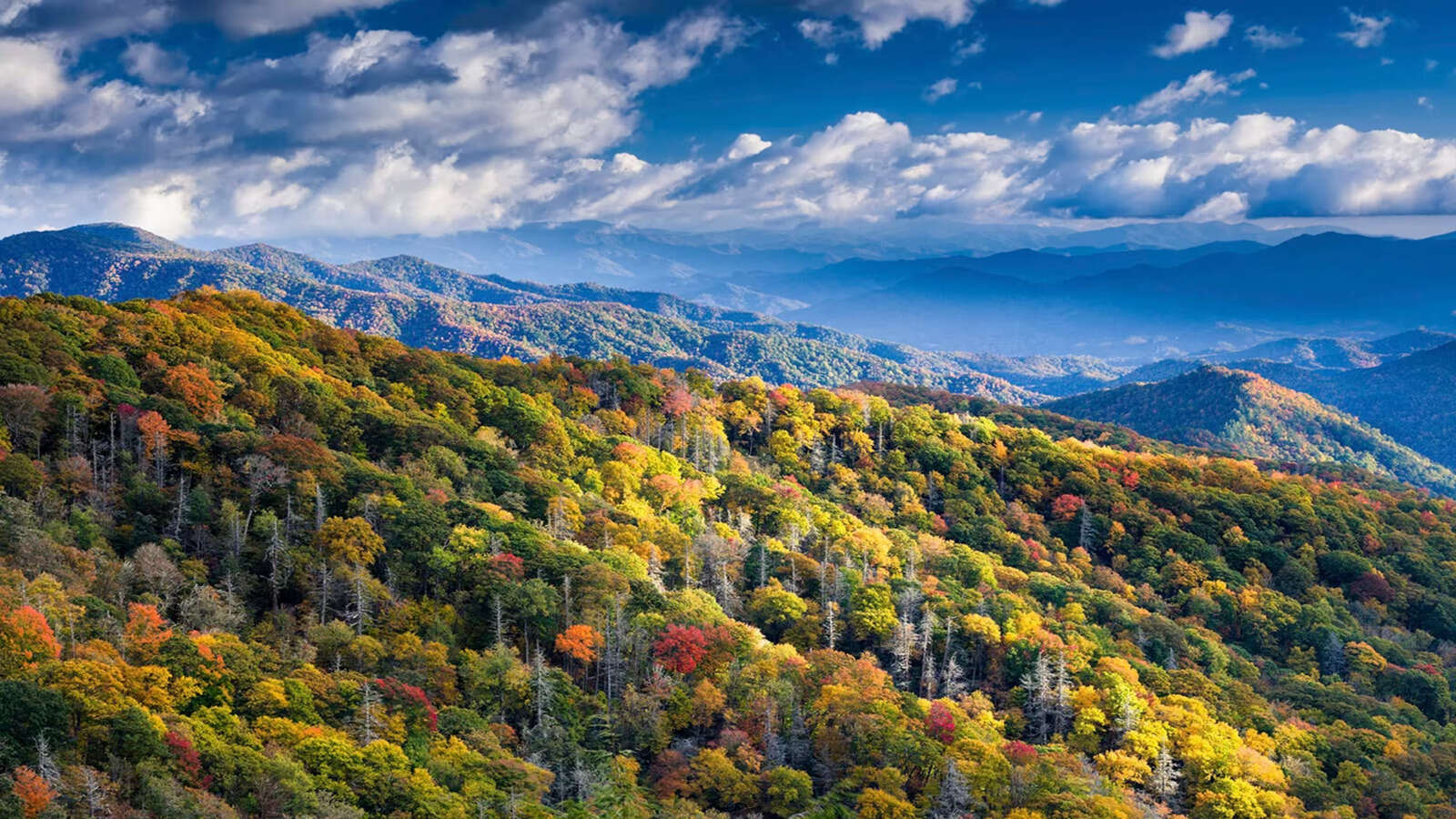 The-Fascinating-Reason-Behind-Tennessee8217s-Nickname the-fascinating-reason-behind-tennessees-nickname