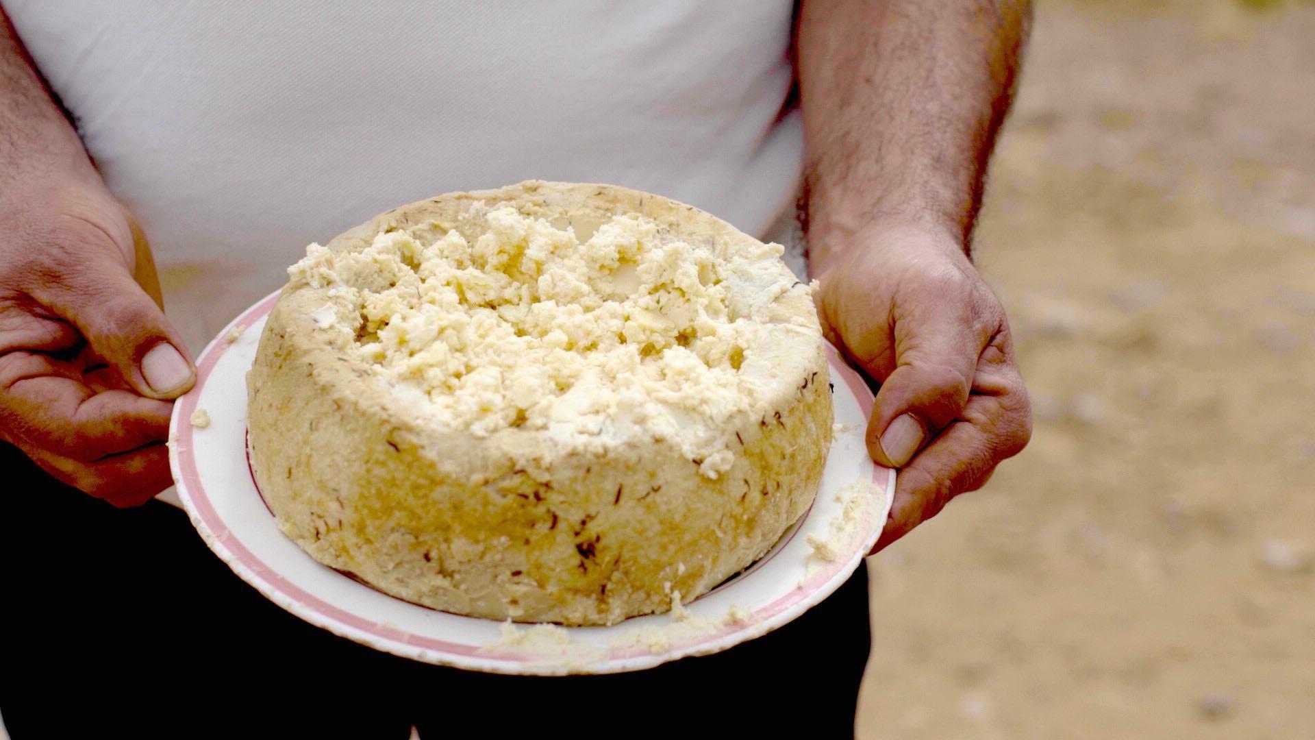 The-Hidden-Secrets-Of-Italy’s-Casu-Marzu-Cheese the-hidden-secrets-of-italys-casu-marzu-cheese