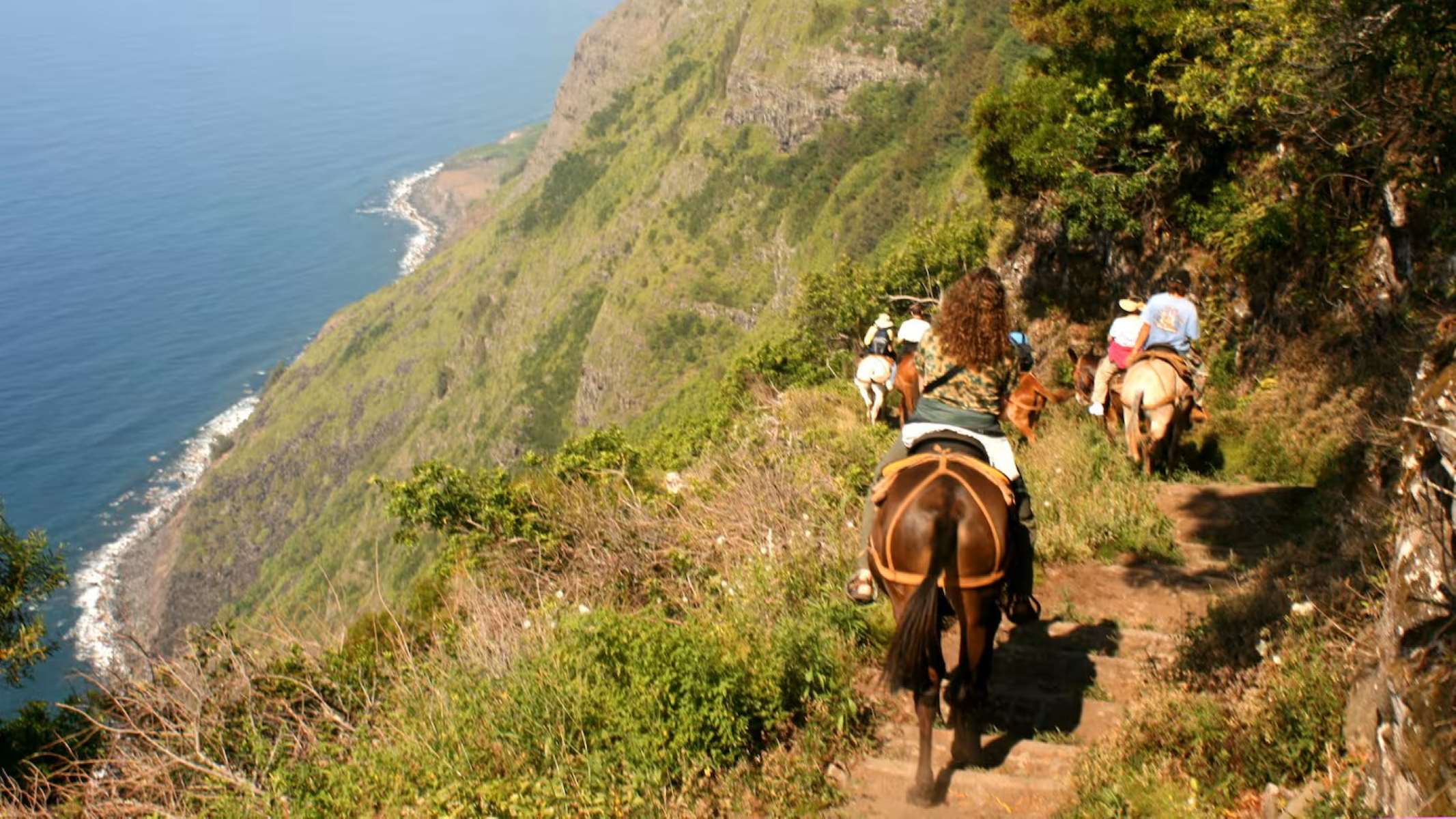 Thrilling-Mule-Ride-Through-Kalaupapa8217s-Scenic-Trails thrilling-mule-ride-through-kalaupapas-scenic-trails
