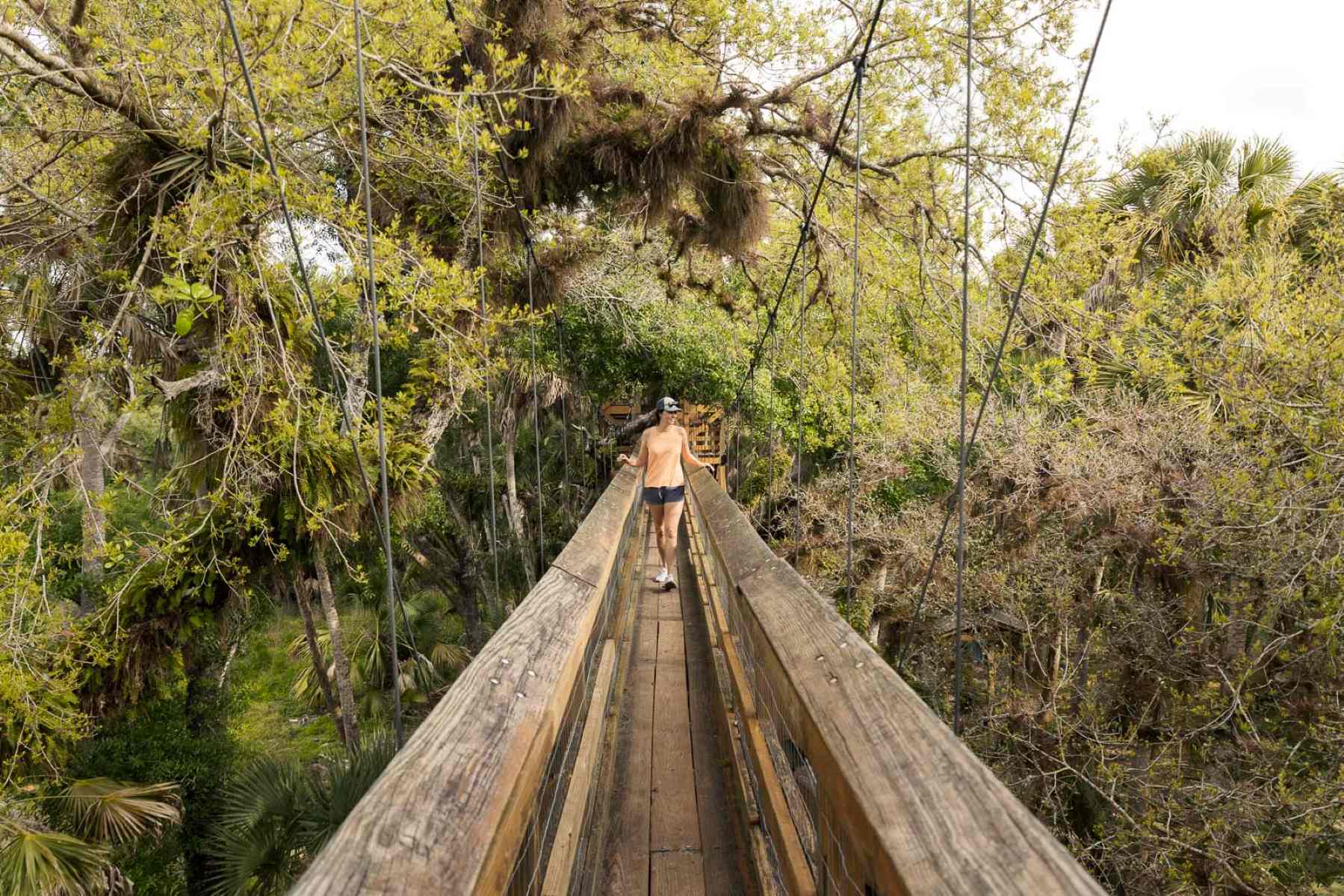 treetop-adventure-at-myakka-river-state-park
