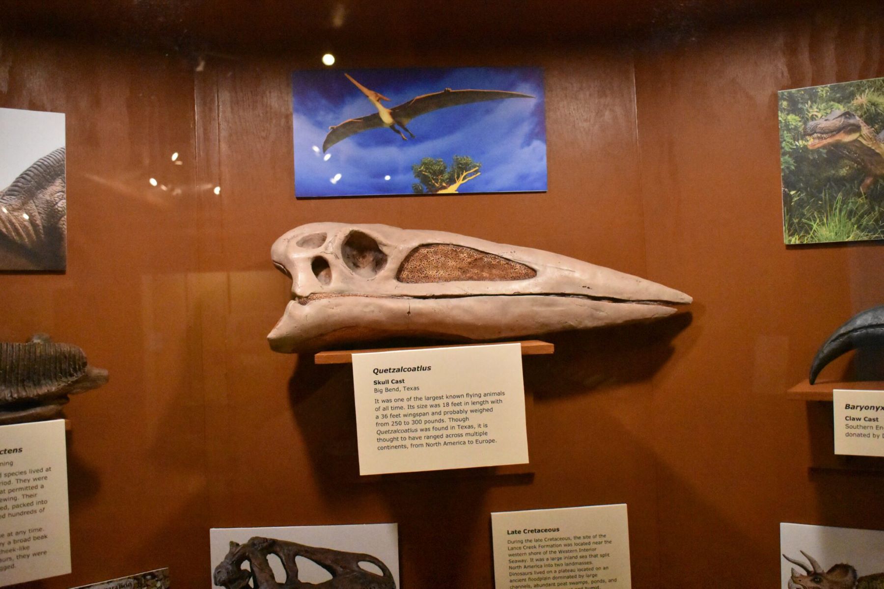 uncover-mysteries-at-wheatlands-borderline-museum