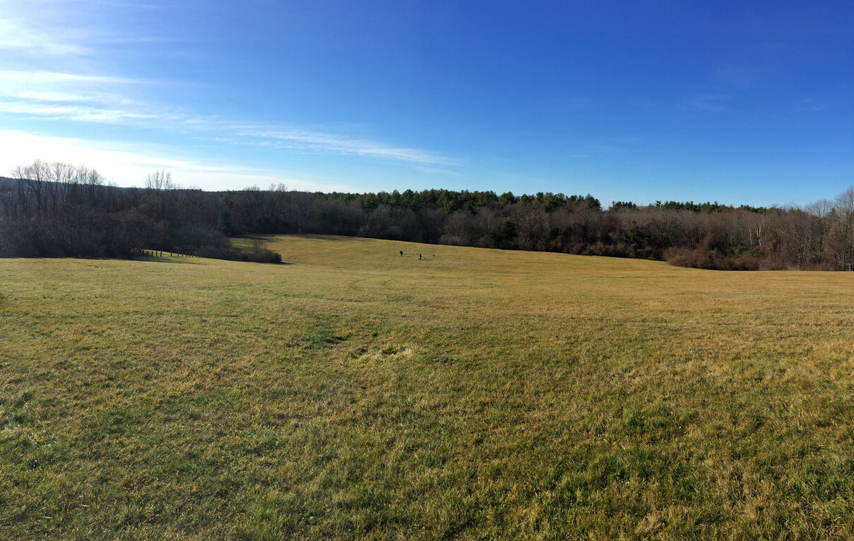 uncover-the-magic-of-bedfords-benedictine-park