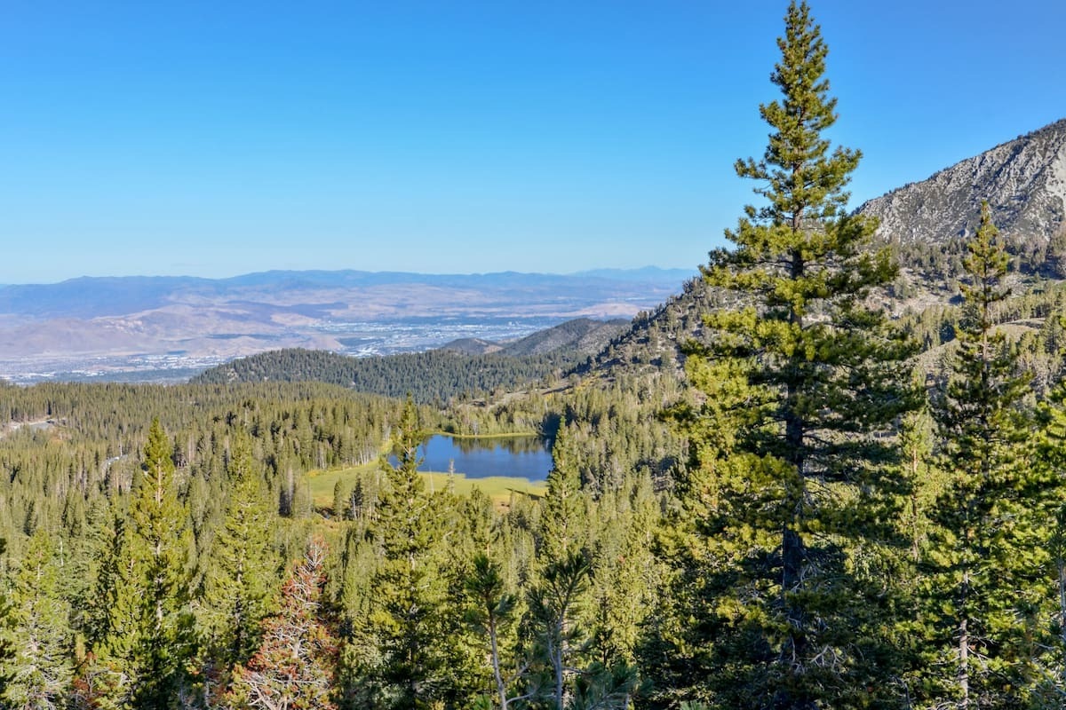 uncover-the-magic-of-vernals-ashley-national-forest