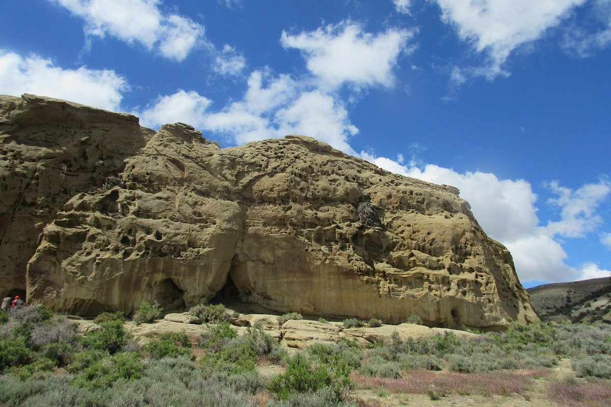 unveil-ancient-mysteries-at-white-mountain-petroglyphs