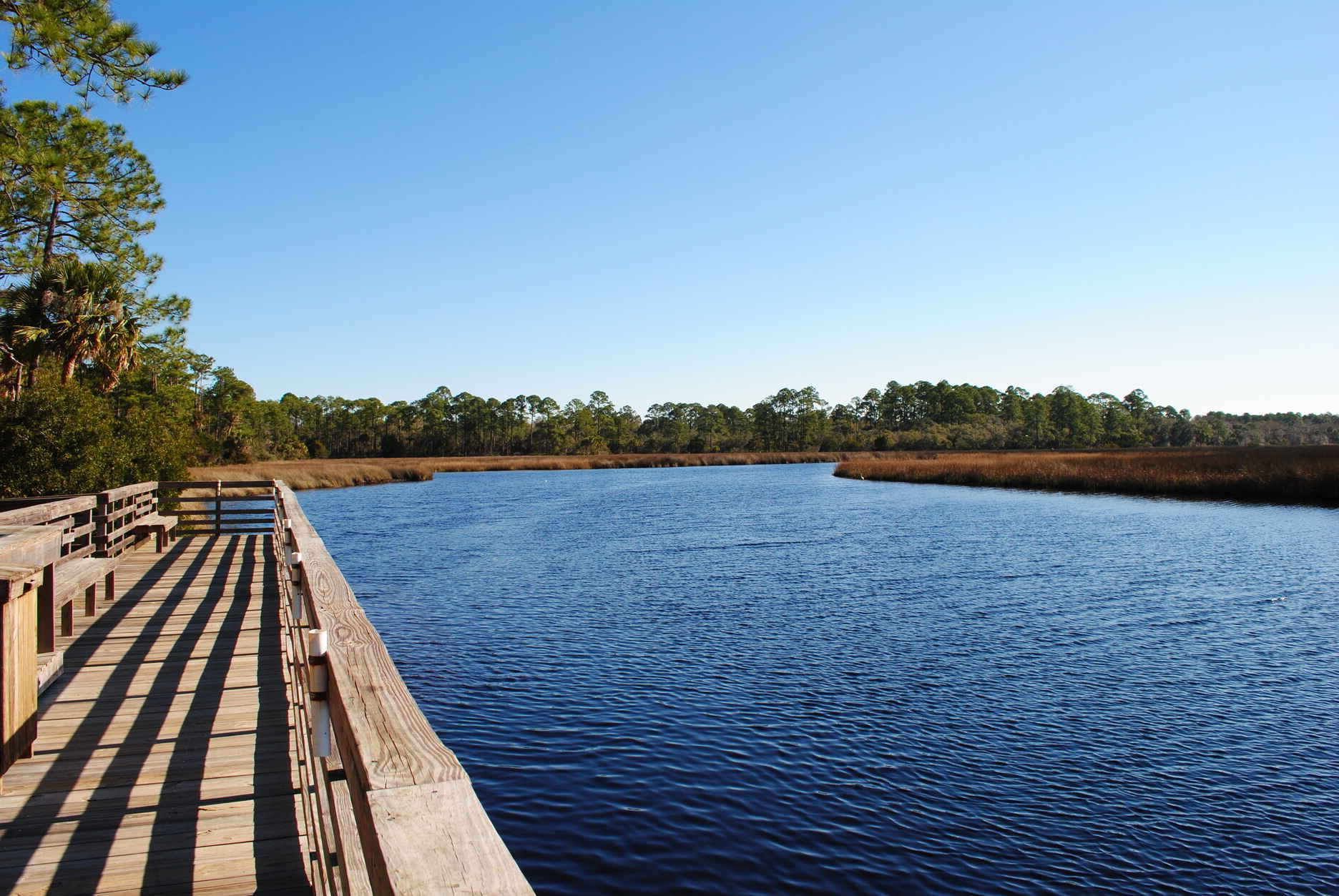 unveil-the-magic-of-faver-dykes-state-parks-oyster-beds