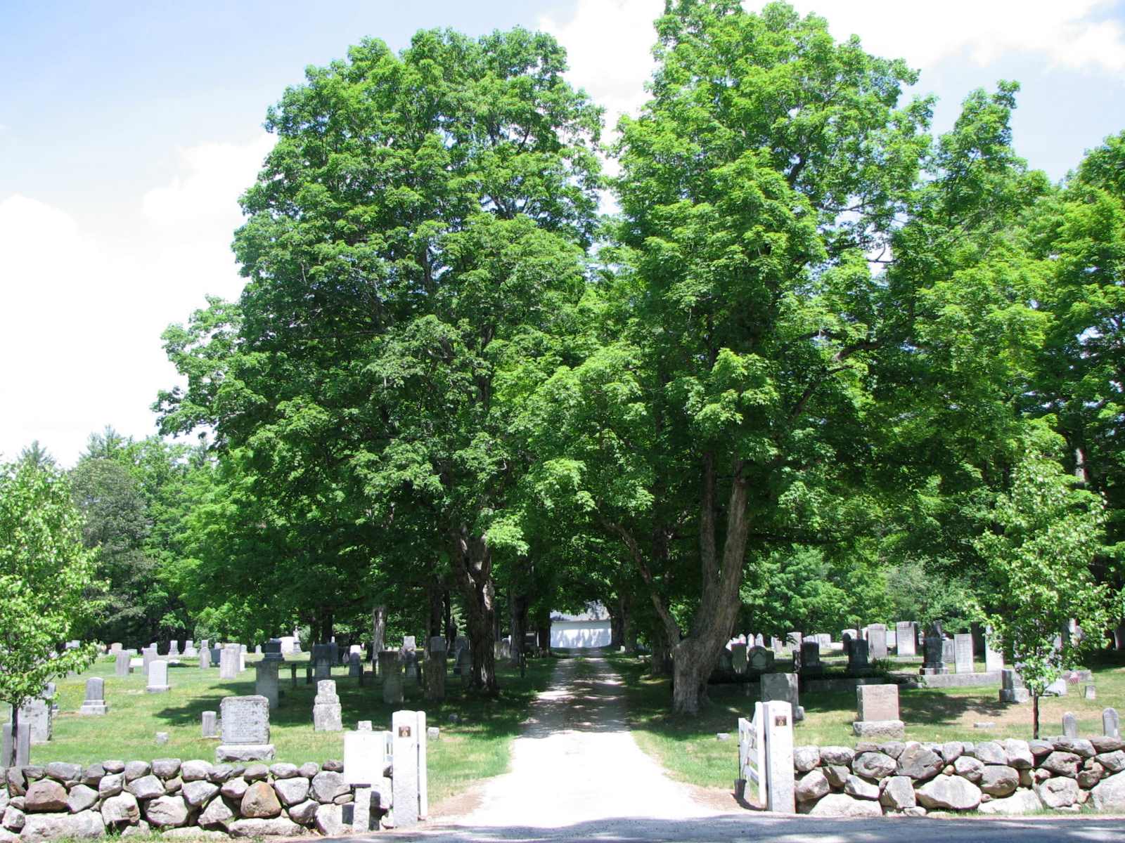 unveil-the-mysteries-of-francestowns-haunted-burial-ground