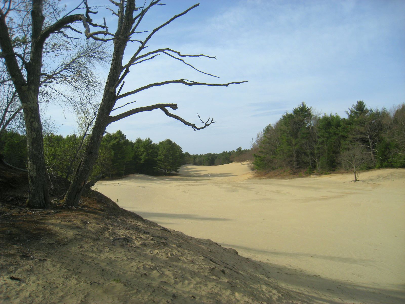 unveil-the-mystique-of-maines-sand-dunes