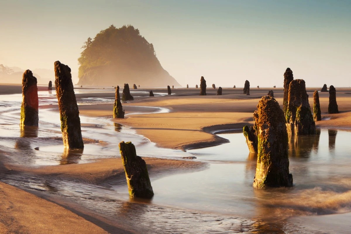 unveil-the-mystique-of-neskowins-ghost-forest