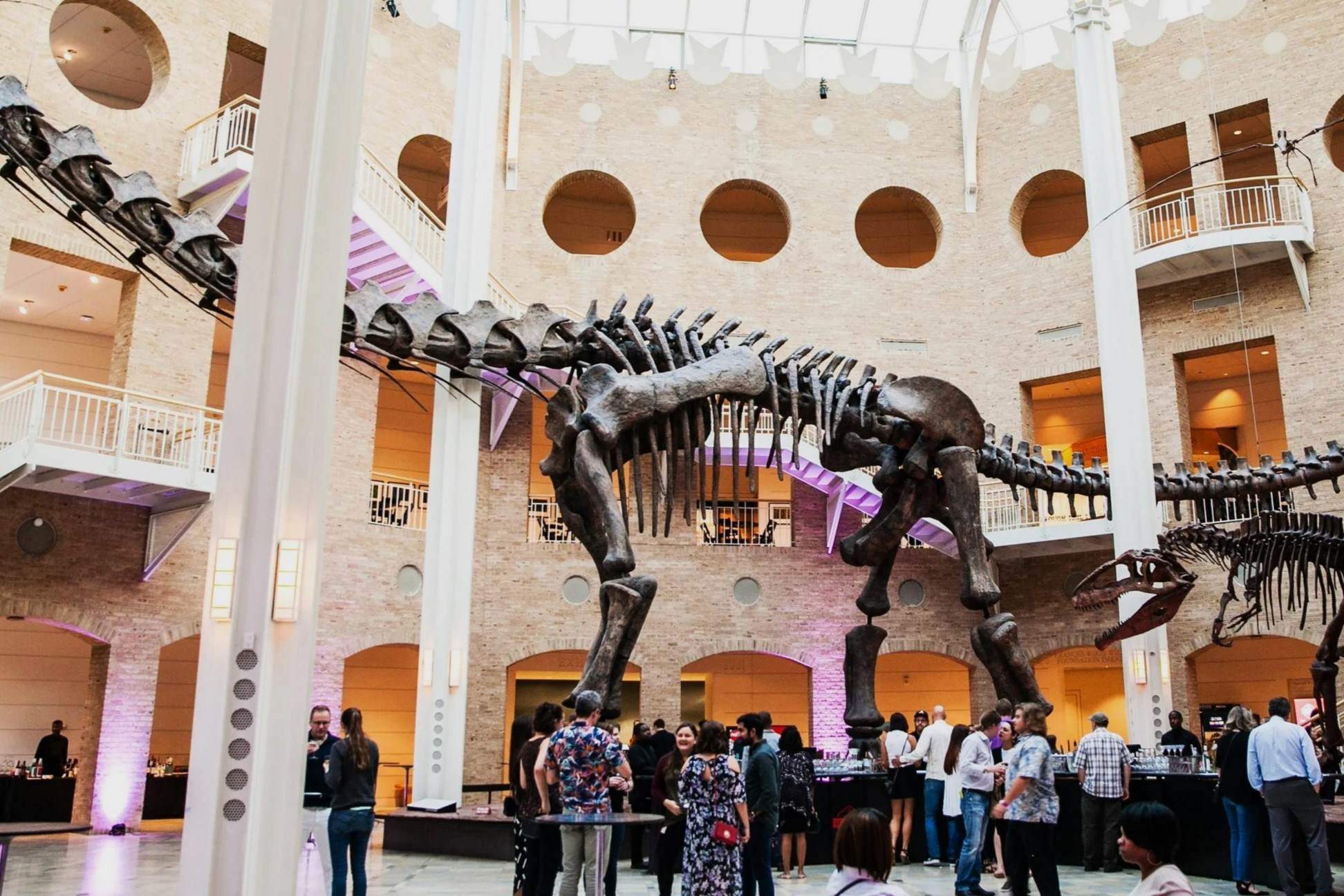 unveil-the-wonders-of-atlantas-fernbank-museum