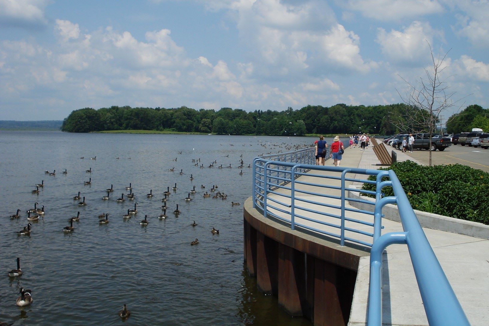 Unveil-The-Wonders-Of-Pymatuning-State-Park unveil-the-wonders-of-pymatuning-state-park