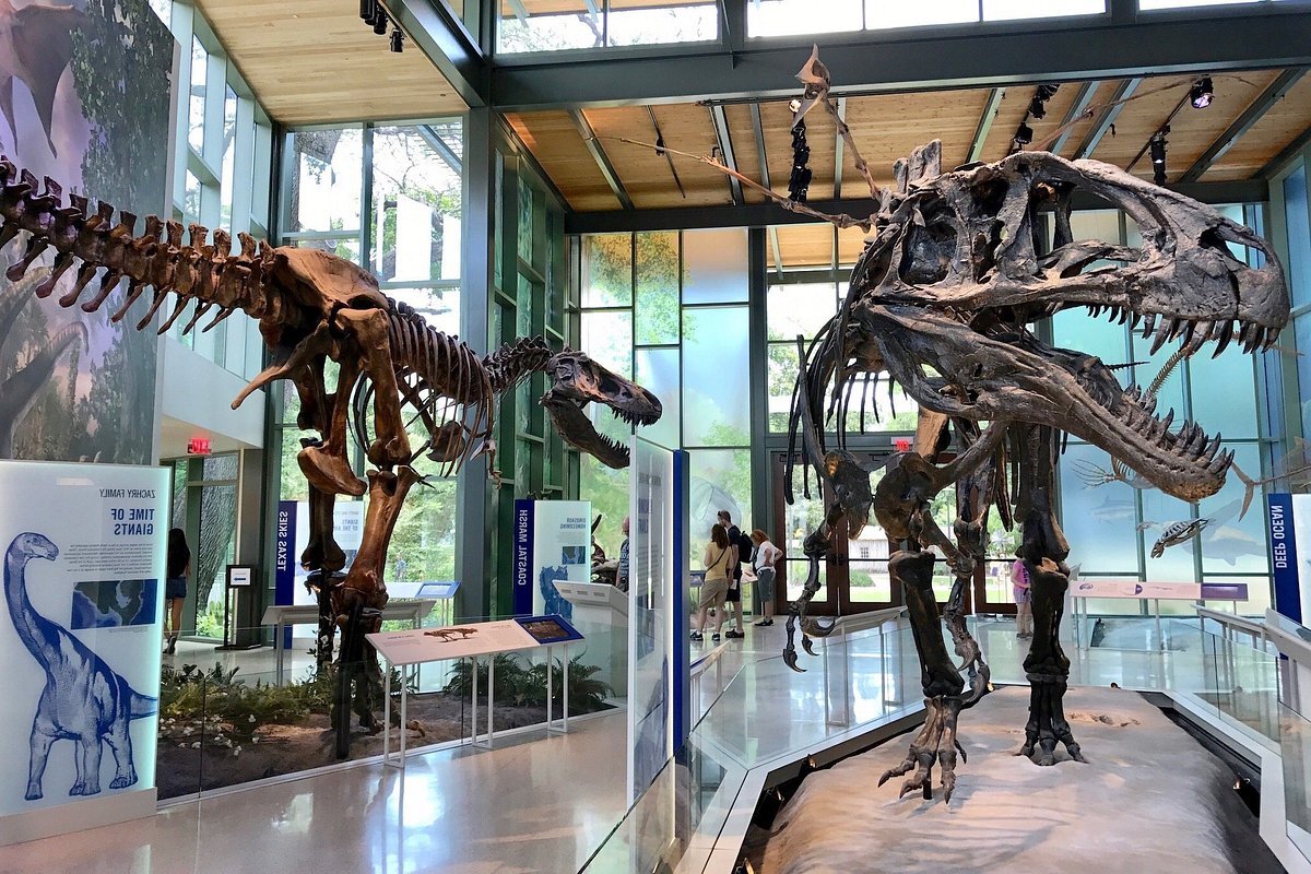 unveil-the-wonders-of-san-antonios-witte-museum