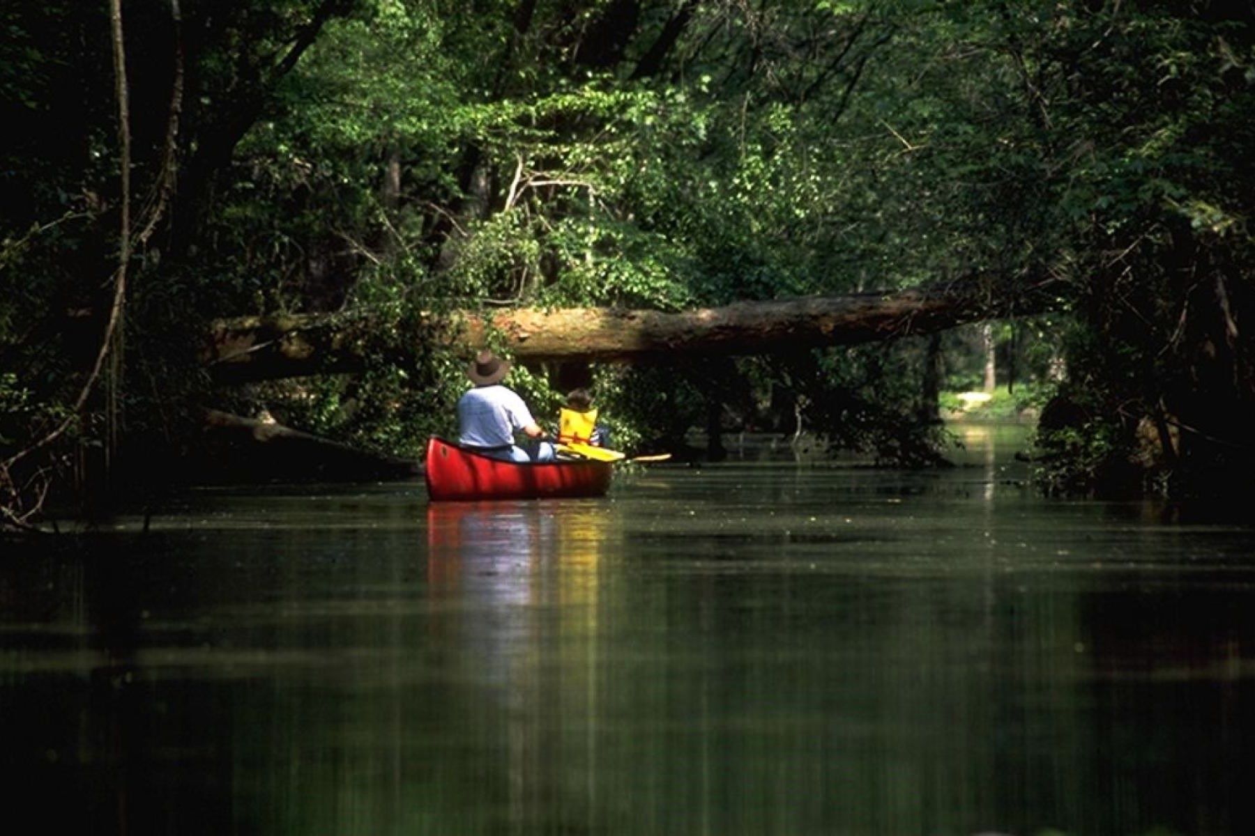 wander-the-wonders-of-tickfaw-state-parks-boardwalk-trails