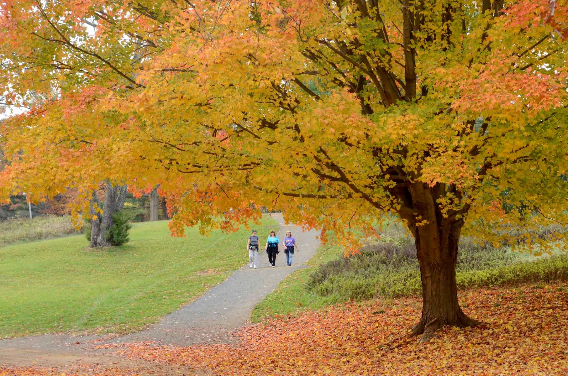 wander-through-holmdel-parks-enchanting-arboretum