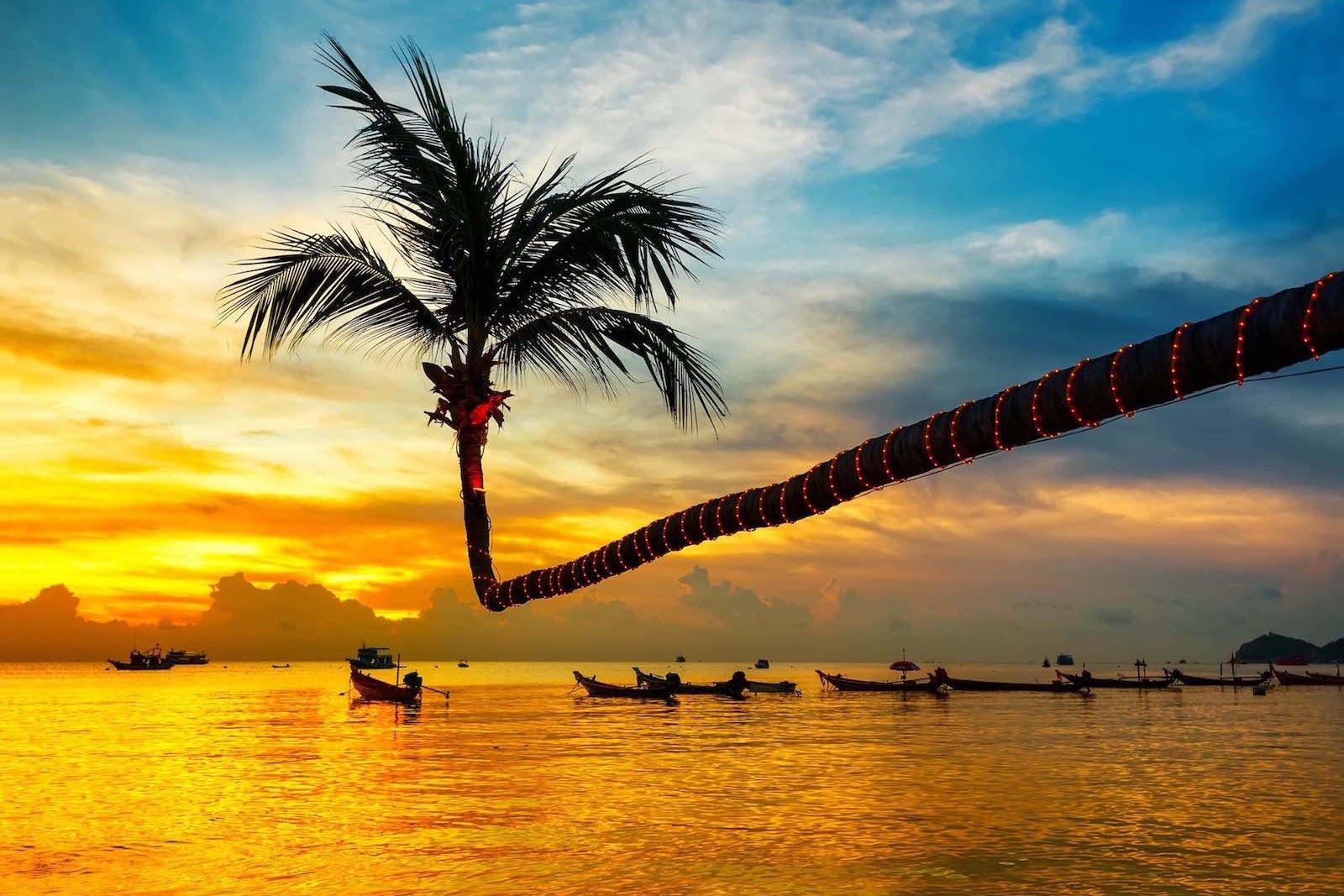 What-Is-Thailand-Hiding-On-Koh-Tao-Should-Tourists-Be-Worried what-is-thailand-hiding-on-koh-tao-should-tourists-be-worried