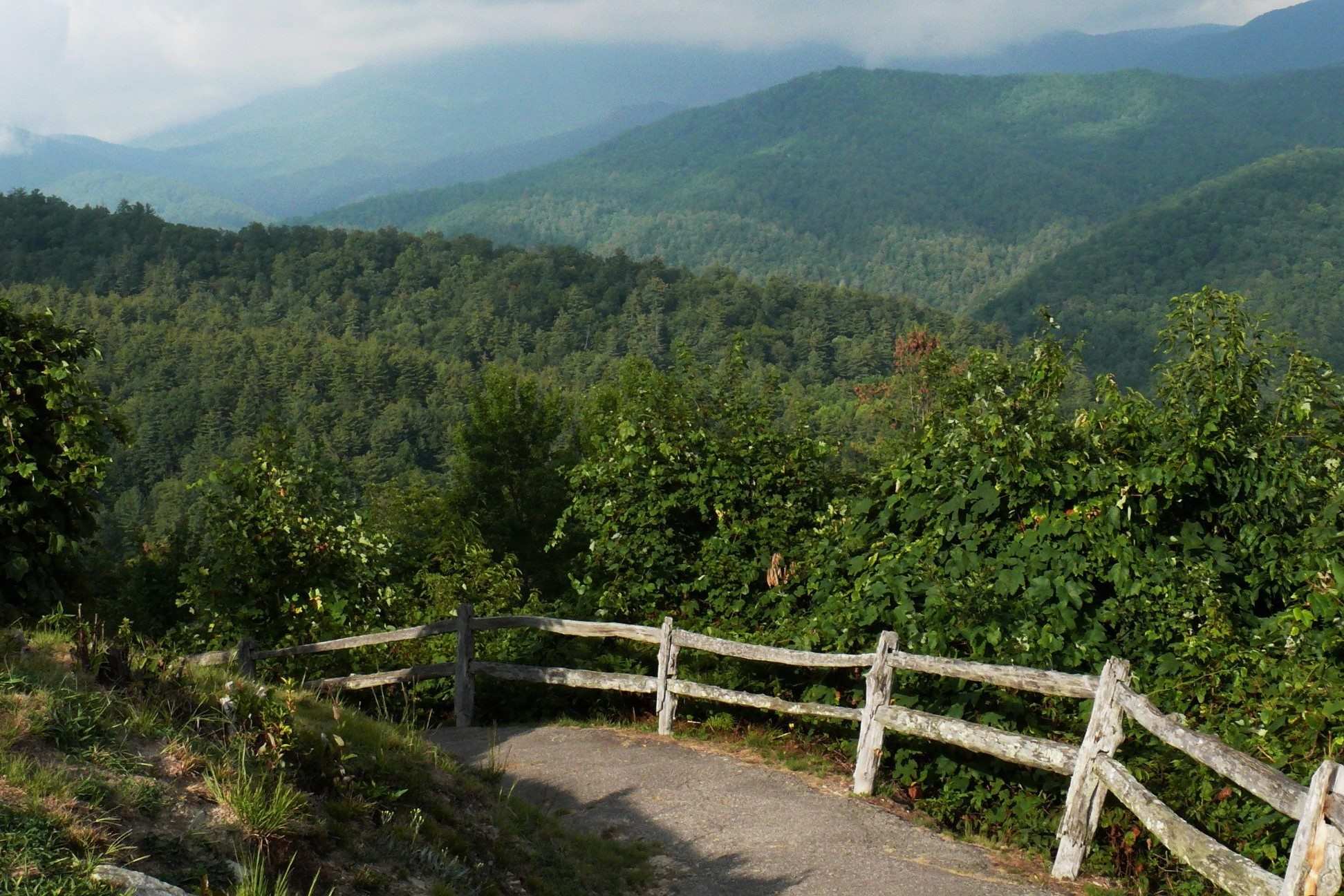 wild-encounters-with-elk-in-cataloochee-valley