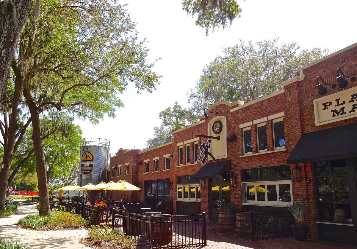 winter-gardens-vibrant-plant-street-market-adventure